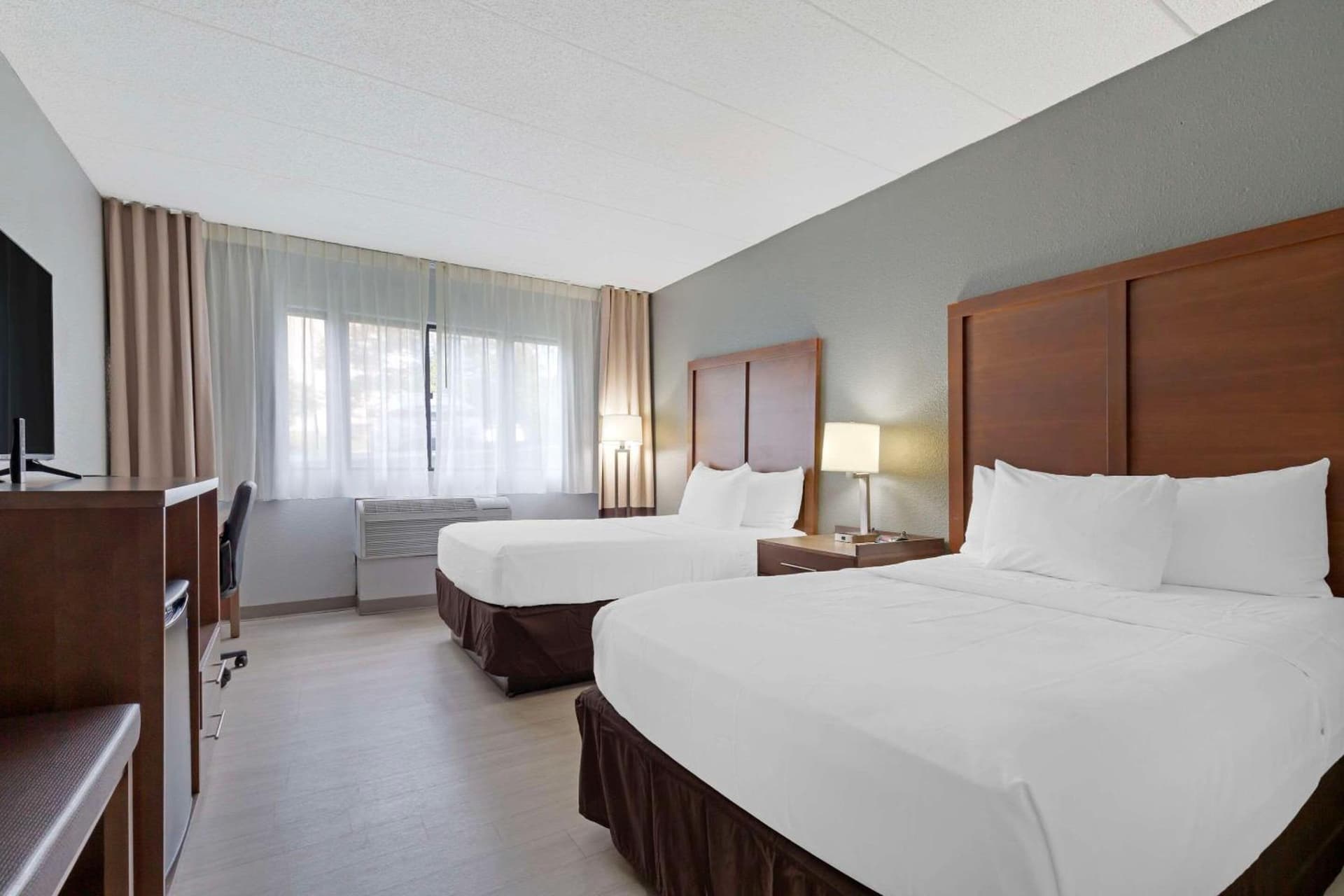 Clarion Hotel & Suites BWI Airport North gallery photo in Baltimore, MD — image 29