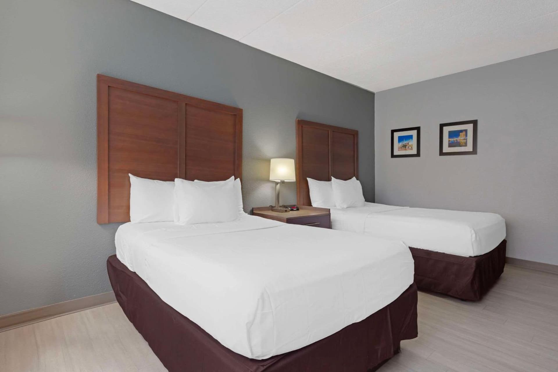 Clarion Hotel & Suites BWI Airport North gallery photo in Baltimore, MD — image 46
