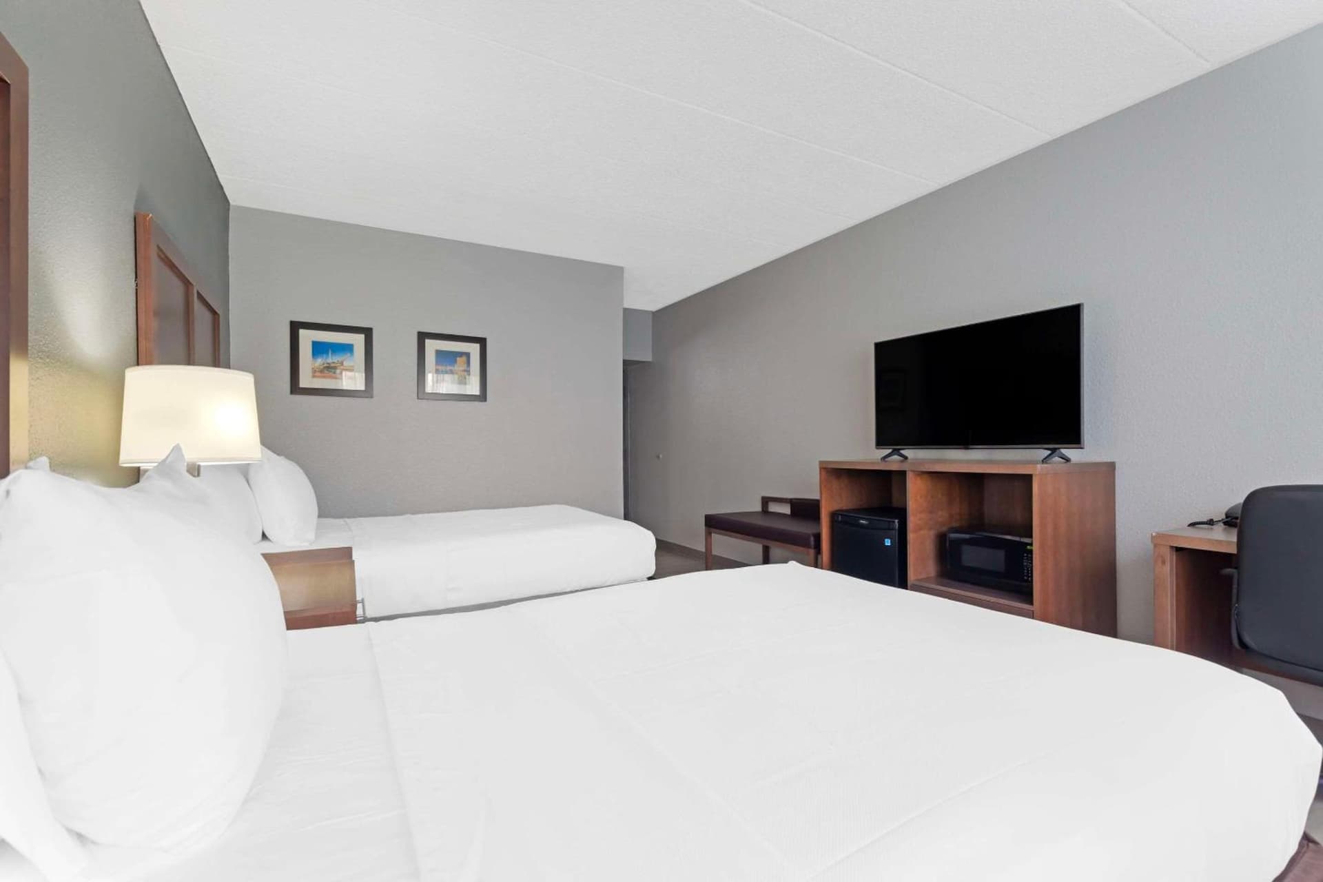 Clarion Hotel & Suites BWI Airport North gallery photo in Baltimore, MD — image 54