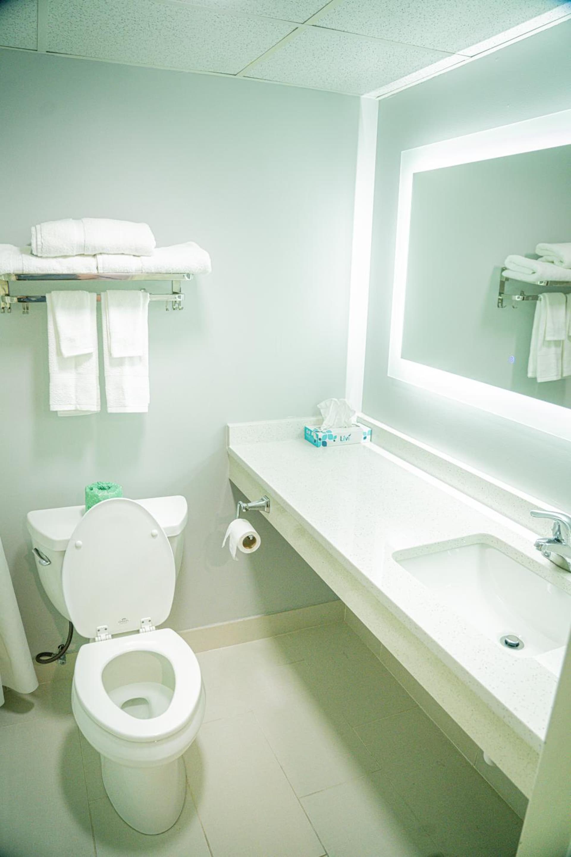 The Royal Inn & Suites gallery photo in Akron, OH — image 16