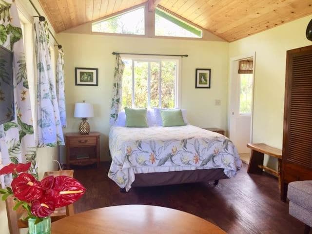 Puna Rainforest Retreat Hotspring: Green Bamboo Cottage property views in Pahoa, HI — gallery photo 3
