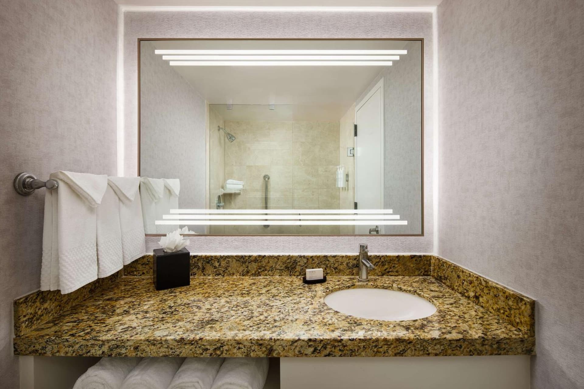 Embassy Suites by Hilton West Palm Beach Central gallery photo in West Palm Beach, FL — image 54