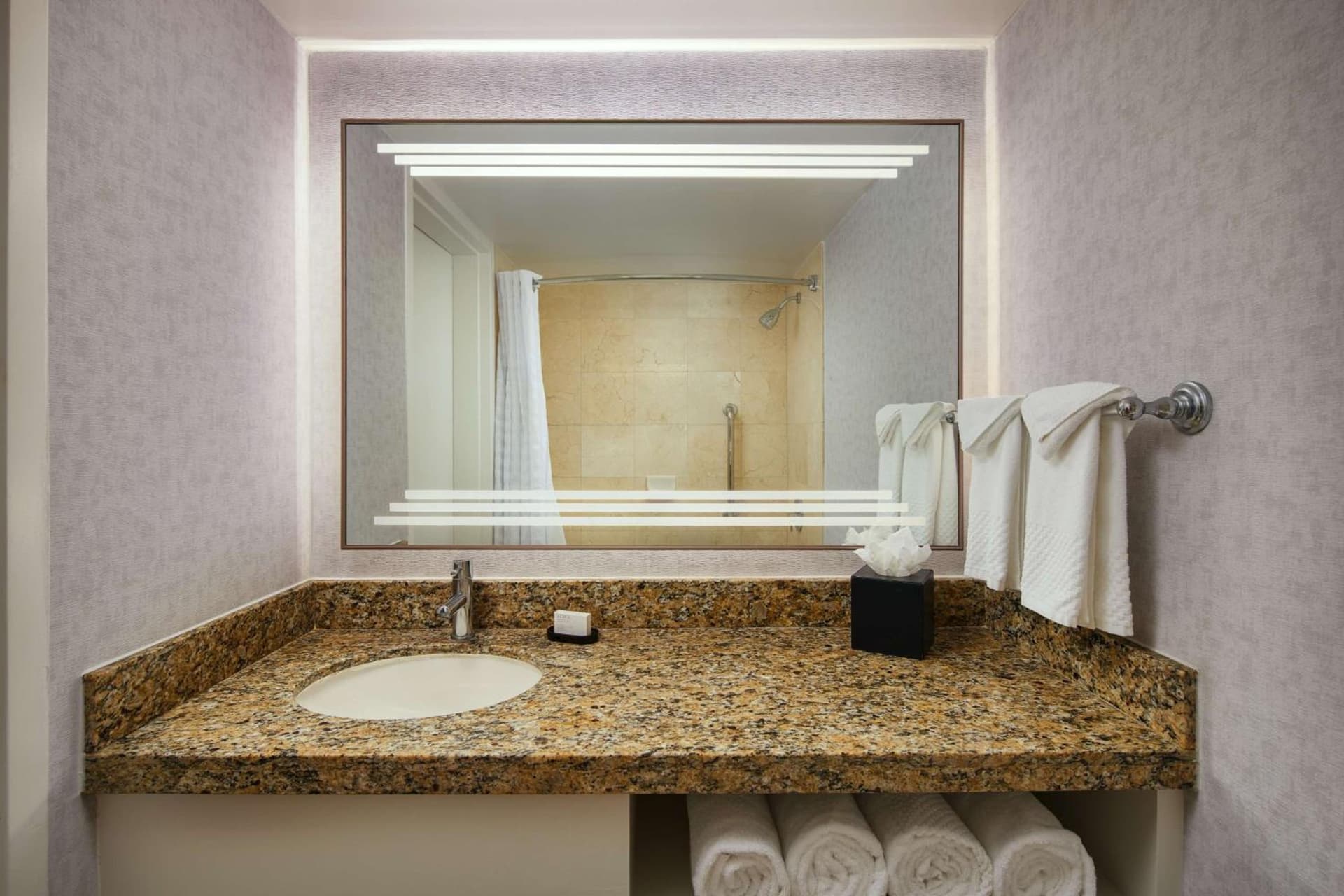 Embassy Suites by Hilton West Palm Beach Central gallery photo in West Palm Beach, FL — image 34
