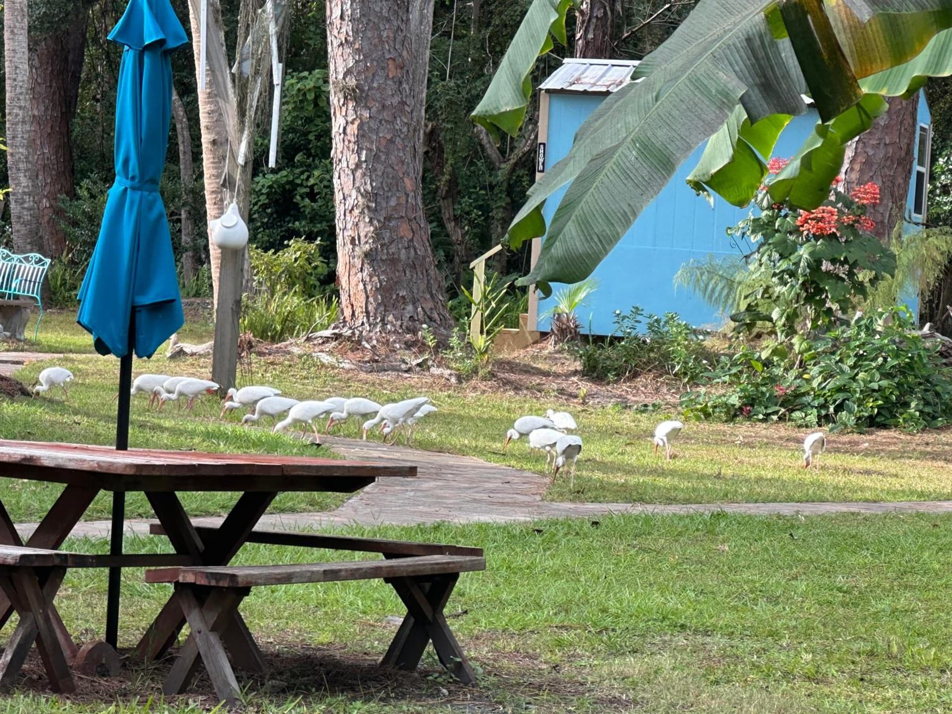 Nature Coast Inn & Cottages gallery photo in Inglis, FL — image 43