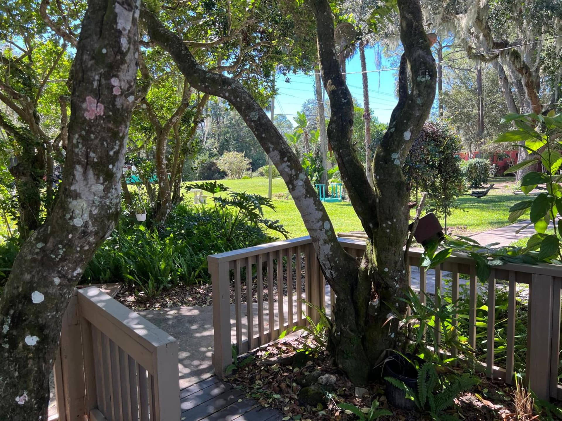 Nature Coast Inn & Cottages gallery photo in Inglis, FL — image 46