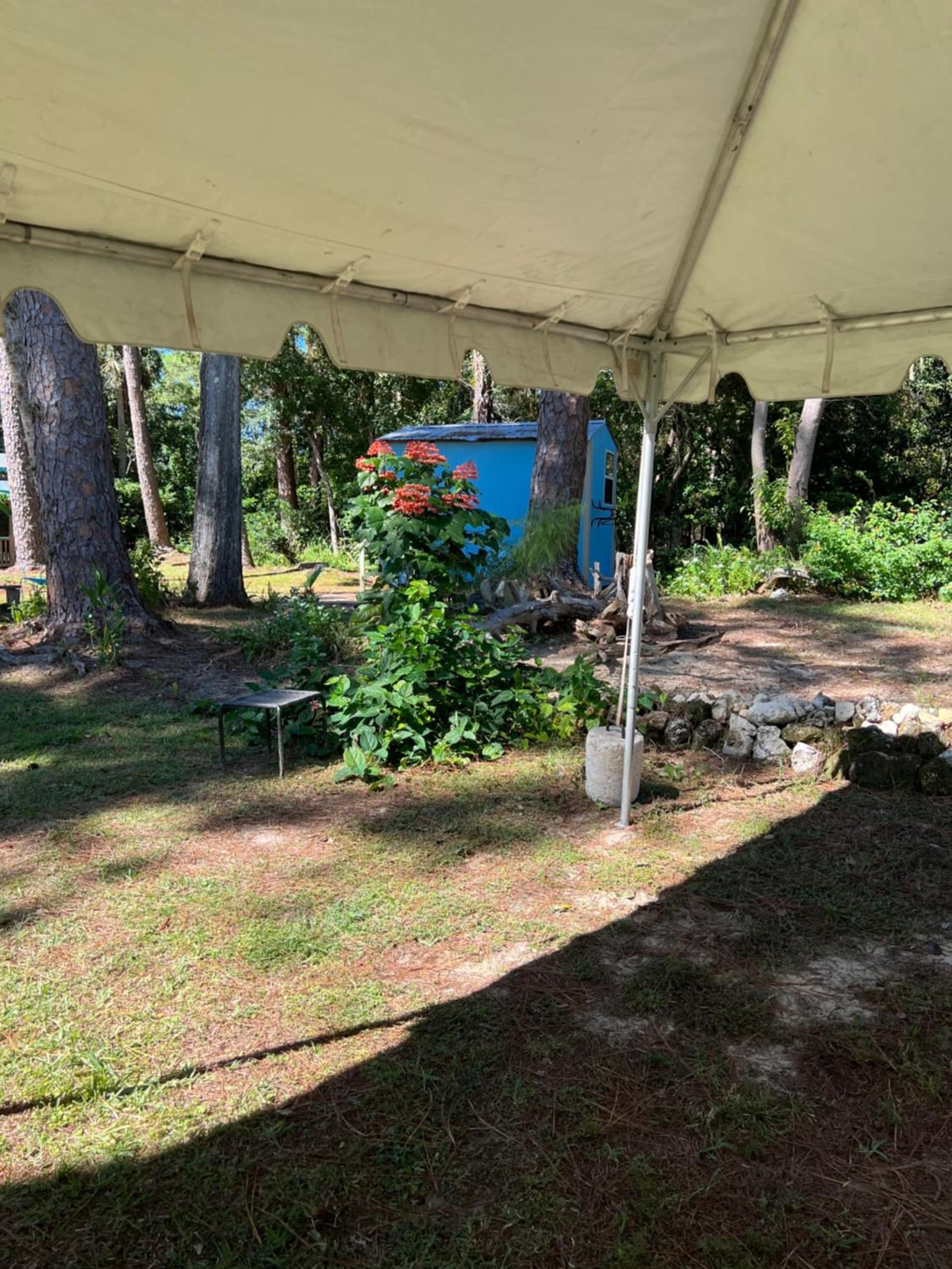 Nature Coast Inn & Cottages gallery photo in Inglis, FL — image 119