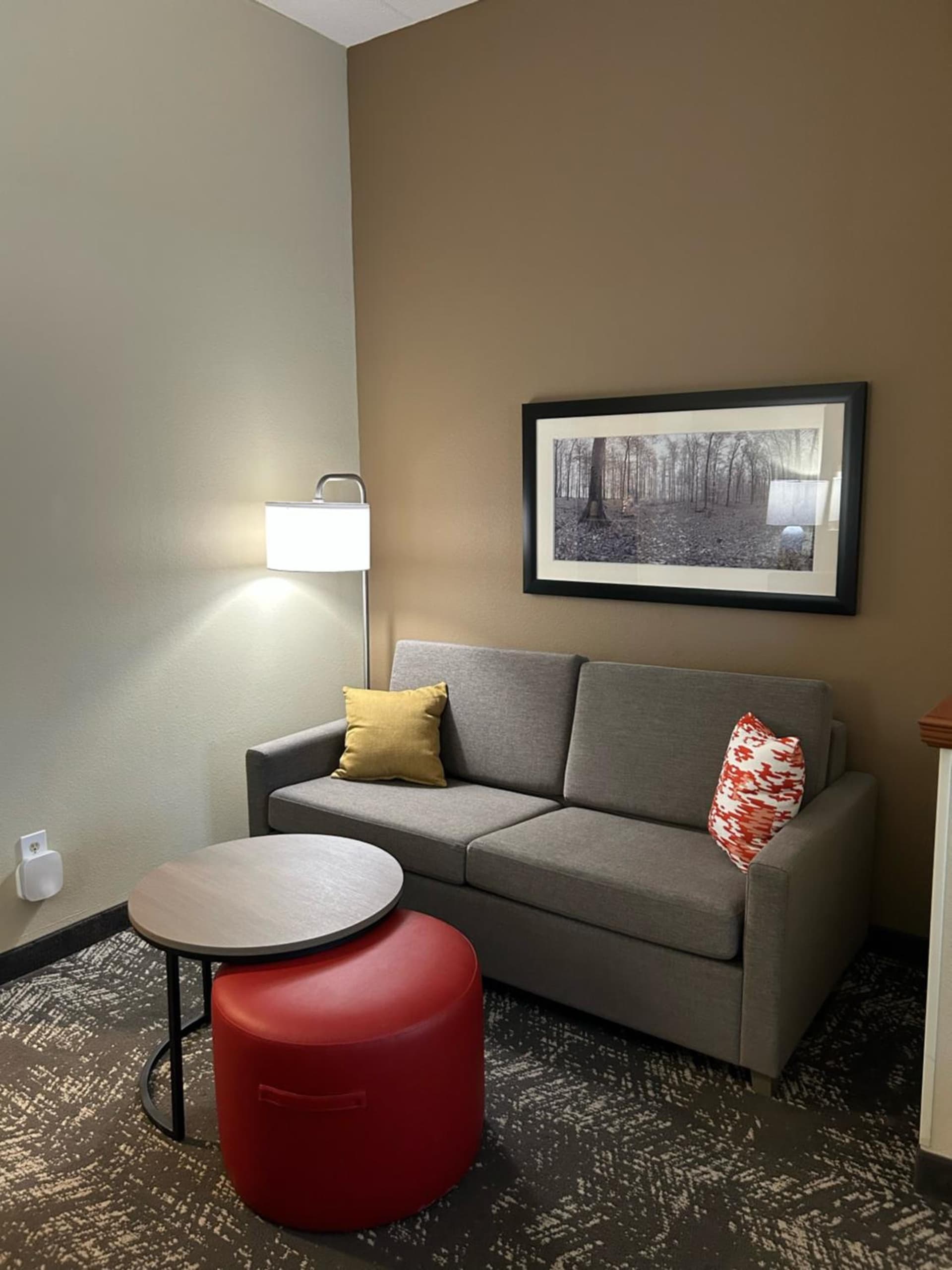 Comfort Suites Columbia at Harbison gallery photo in Columbia, SC — image 12