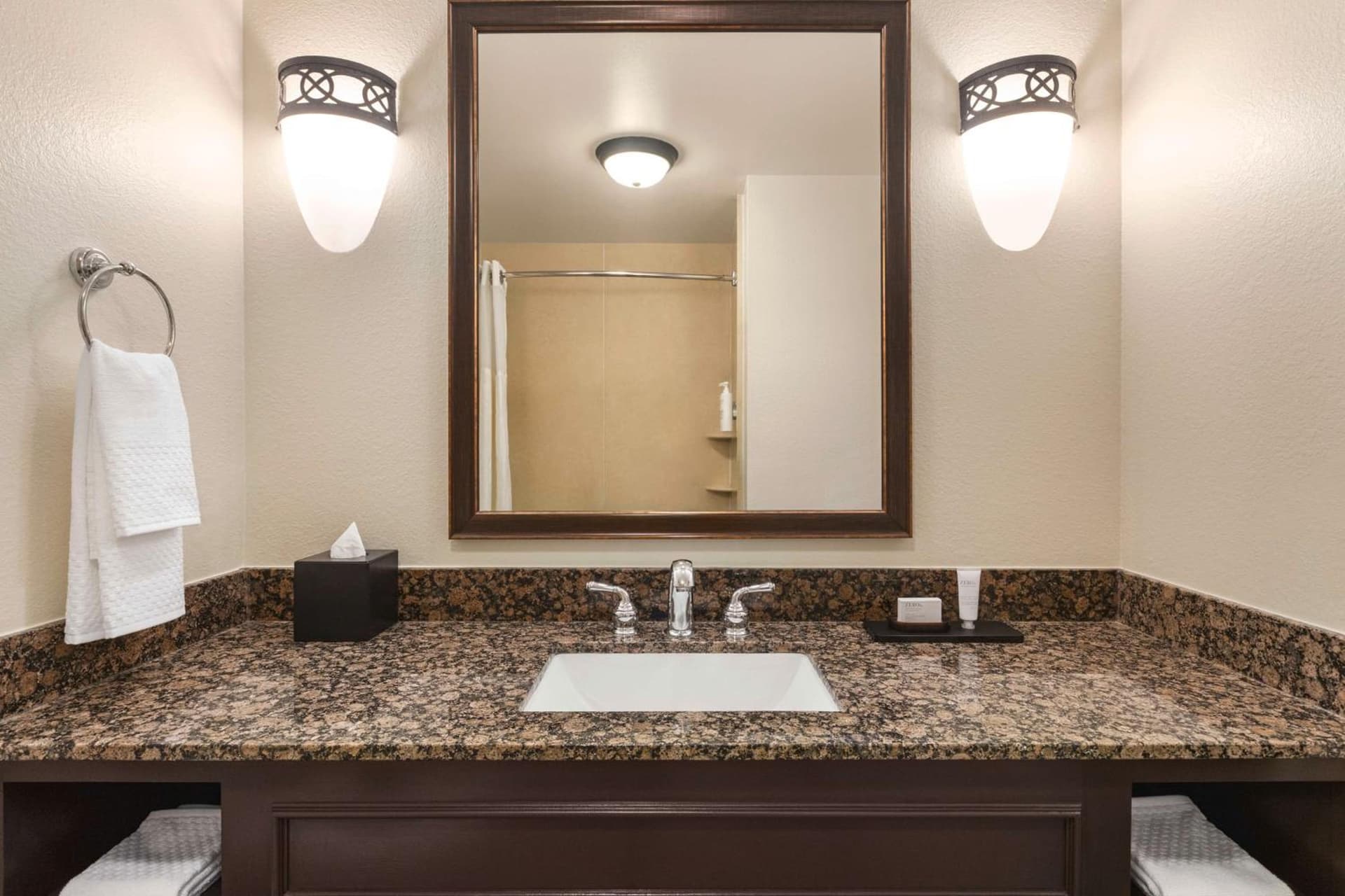Embassy Suites by Hilton Orlando Lake Buena Vista South gallery photo in Kissimmee, FL — image 32