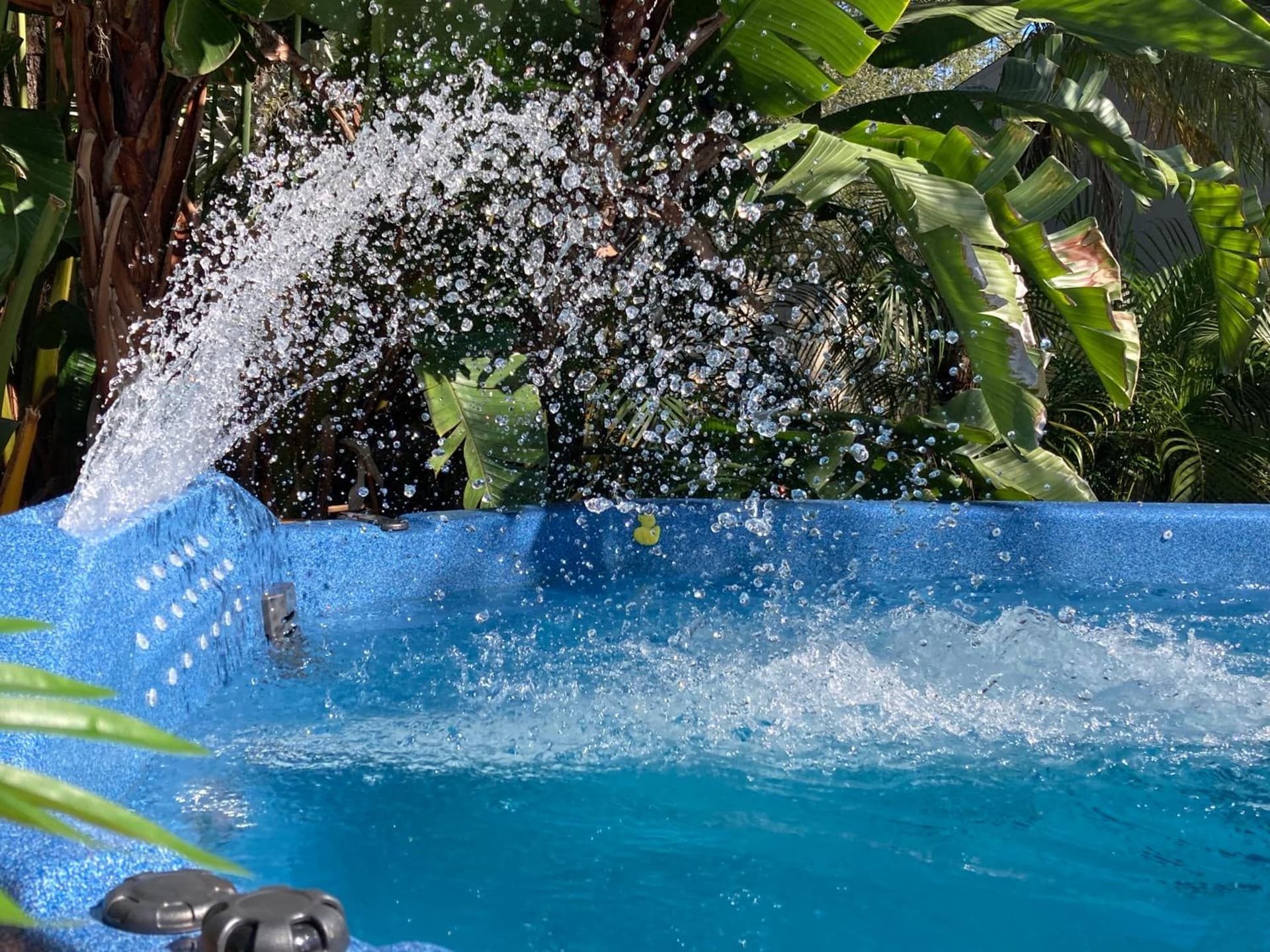 3Gulls Inn Ozona-Boutique Hotel-Steps from Restaurants & Brewery-SwimSpa Pool-Pet Friendly gallery photo in Palm Harbor, FL — image 15
