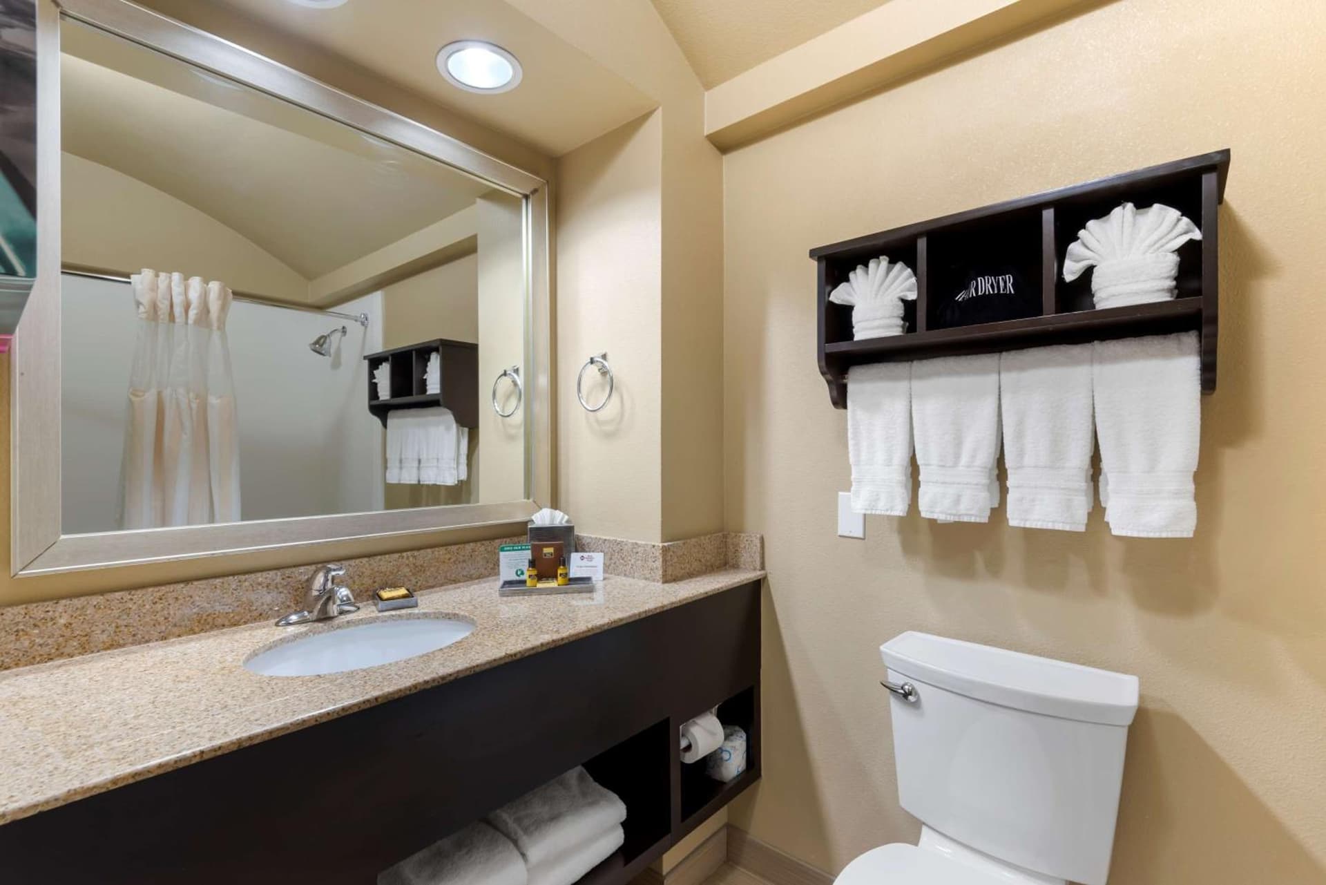 Best Western Plus Arlington North Hotel & Suites gallery photo in Arlington, TX — image 11