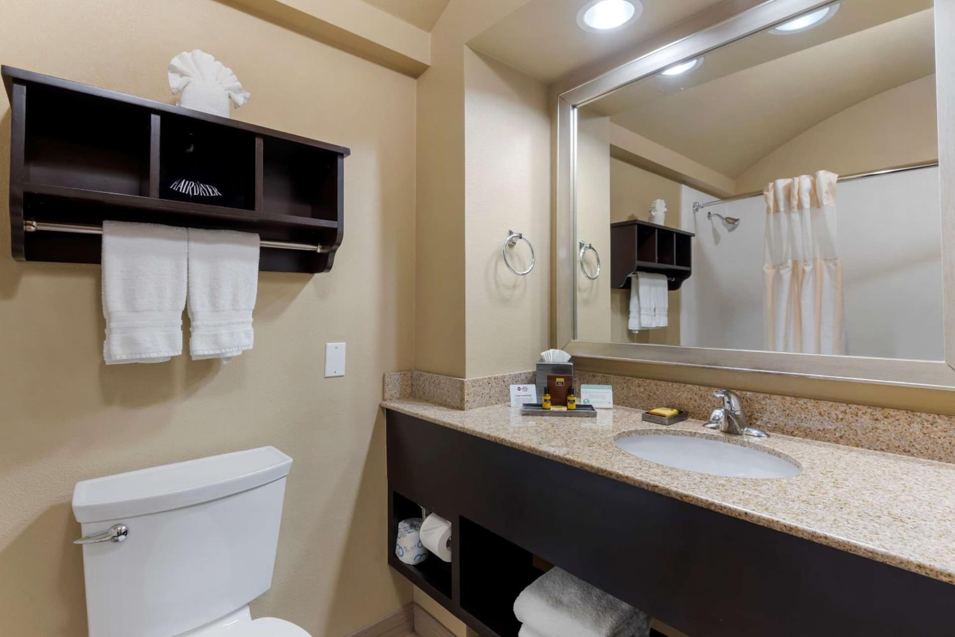 Best Western Plus Arlington North Hotel & Suites gallery photo in Arlington, TX — image 36