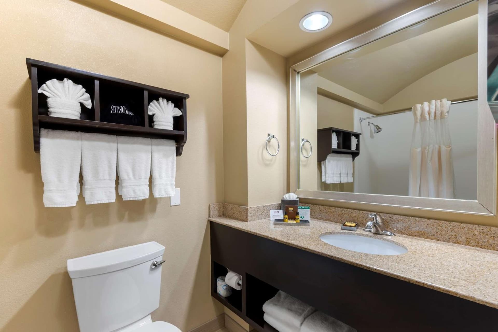 Best Western Plus Arlington North Hotel & Suites gallery photo in Arlington, TX — image 4