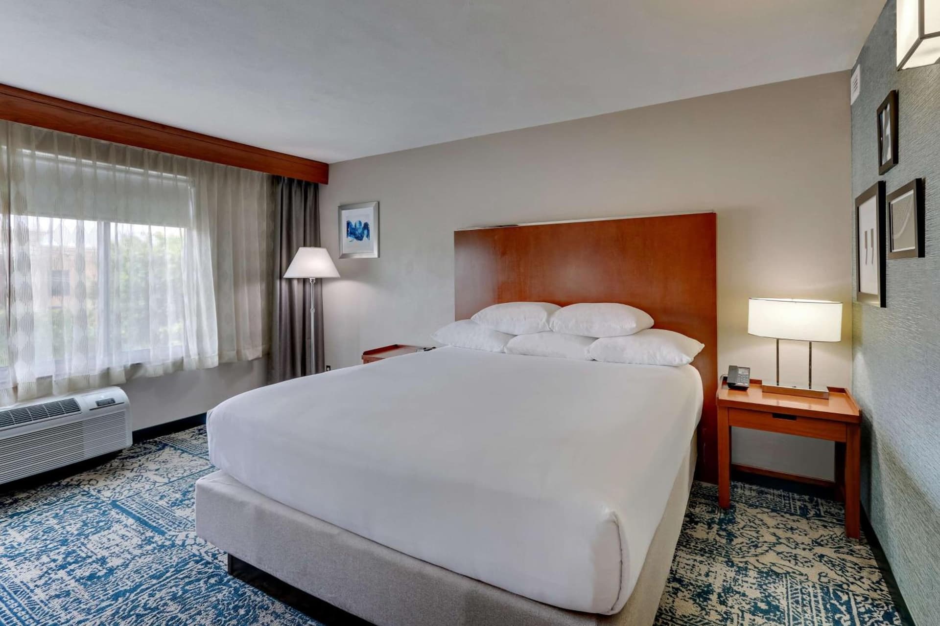 Wyndham Garden San Antonio Airport gallery photo in San Antonio, TX — image 54
