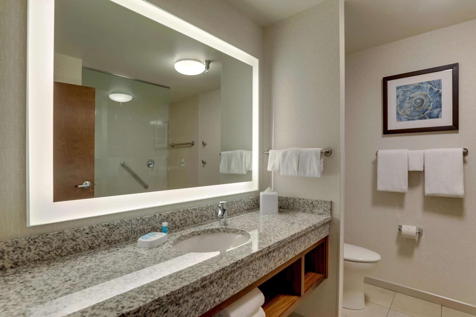 Drury Plaza Hotel Orlando - Disney Springs Area gallery photo in Orlando, FL — image 66