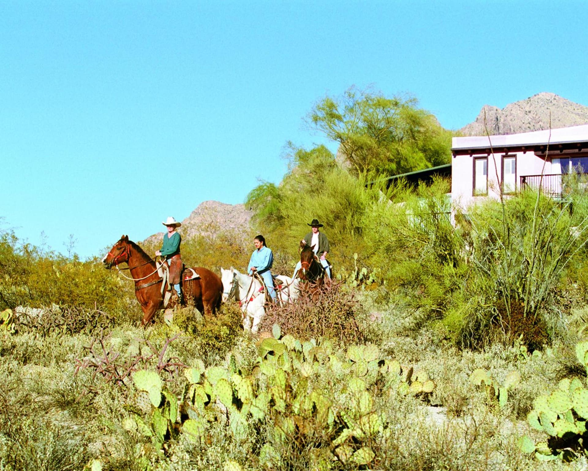 Westward Look Wyndham Grand Resort & Spa property views in Tucson, AZ — gallery photo 3