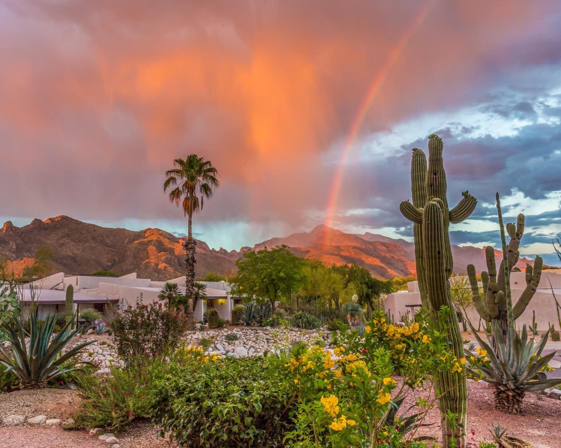 Westward Look Wyndham Grand Resort & Spa gallery photo in Tucson, AZ — image 96
