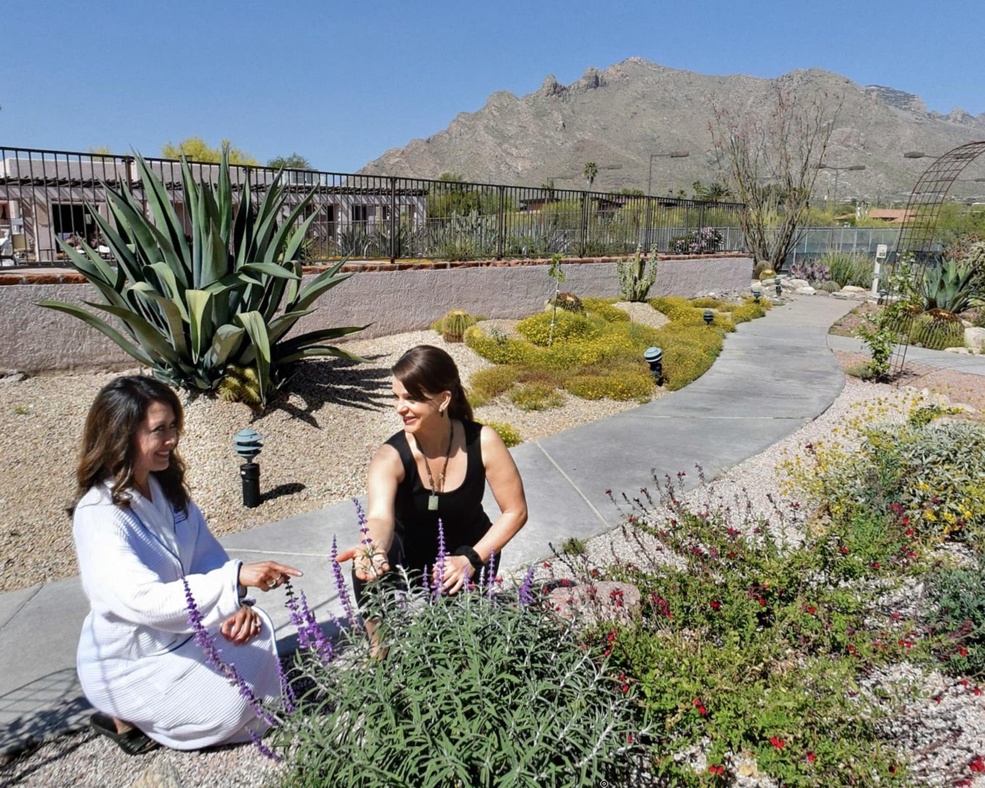 Westward Look Wyndham Grand Resort & Spa gallery photo in Tucson, AZ — image 58