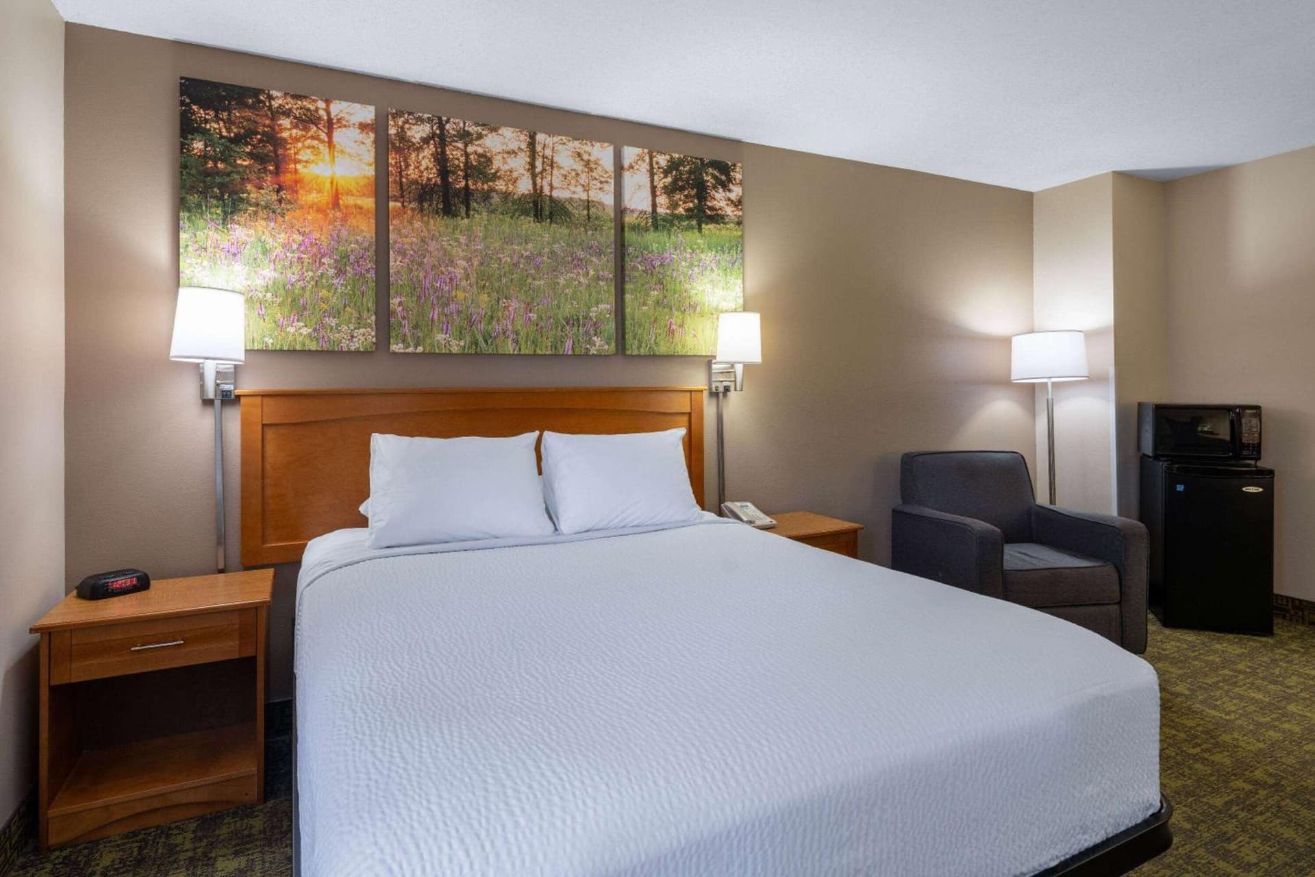 Days Inn & Suites by Wyndham Madison gallery photo in Madison, WI — image 11