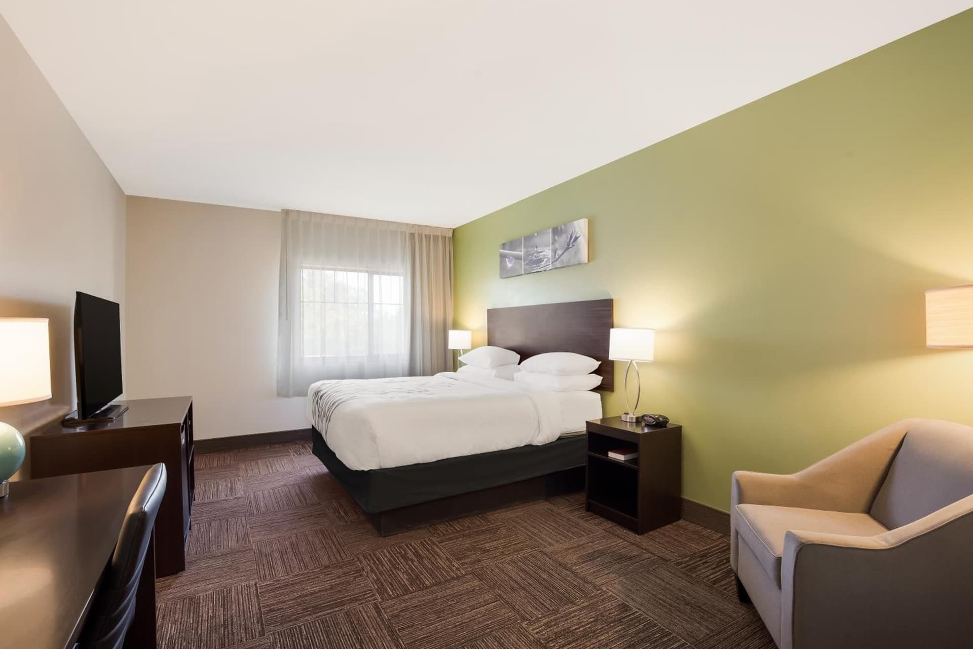 Sleep Inn & Suites North Mobile Saraland gallery photo in Saraland, AL — image 47