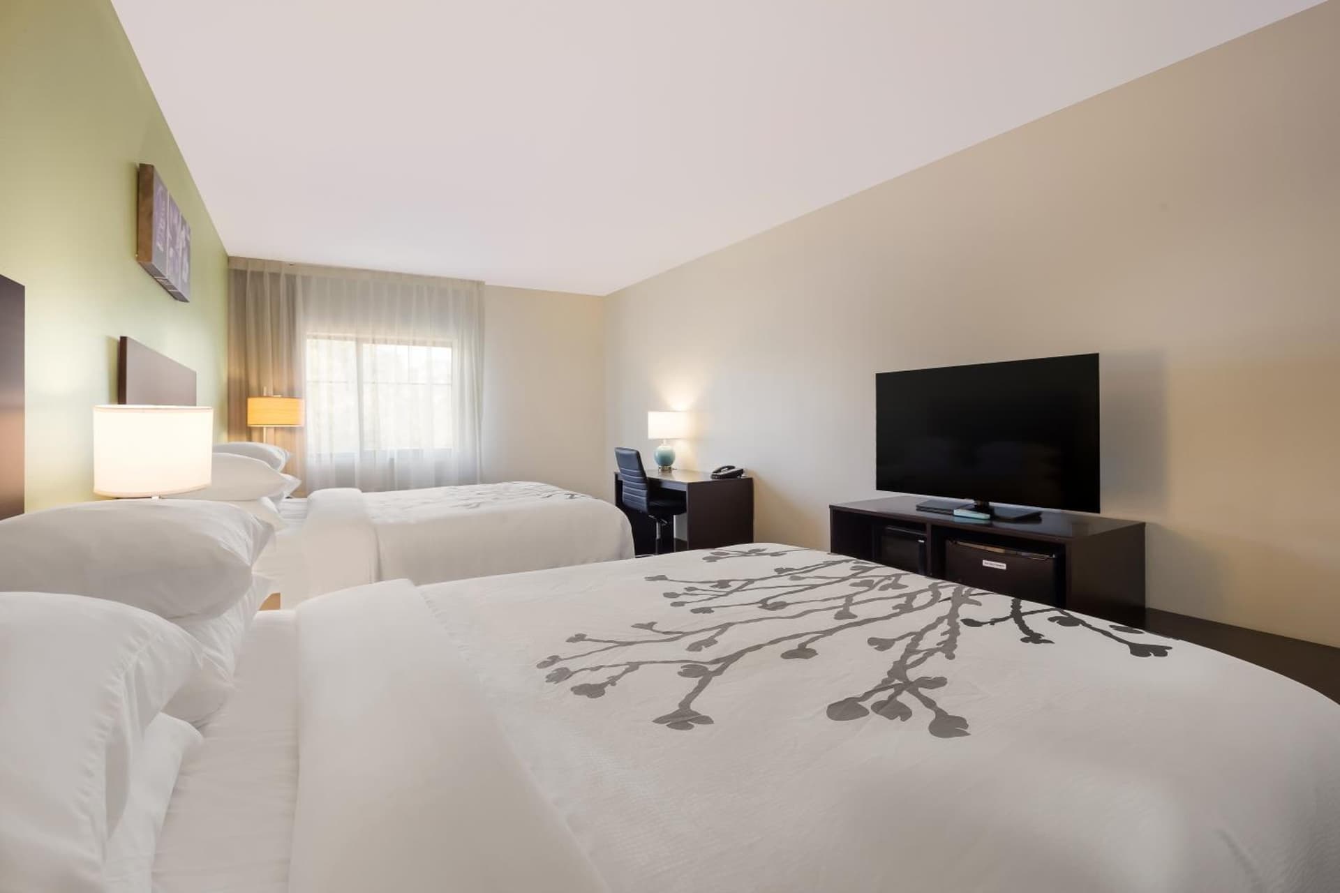 Sleep Inn & Suites North Mobile Saraland gallery photo in Saraland, AL — image 32