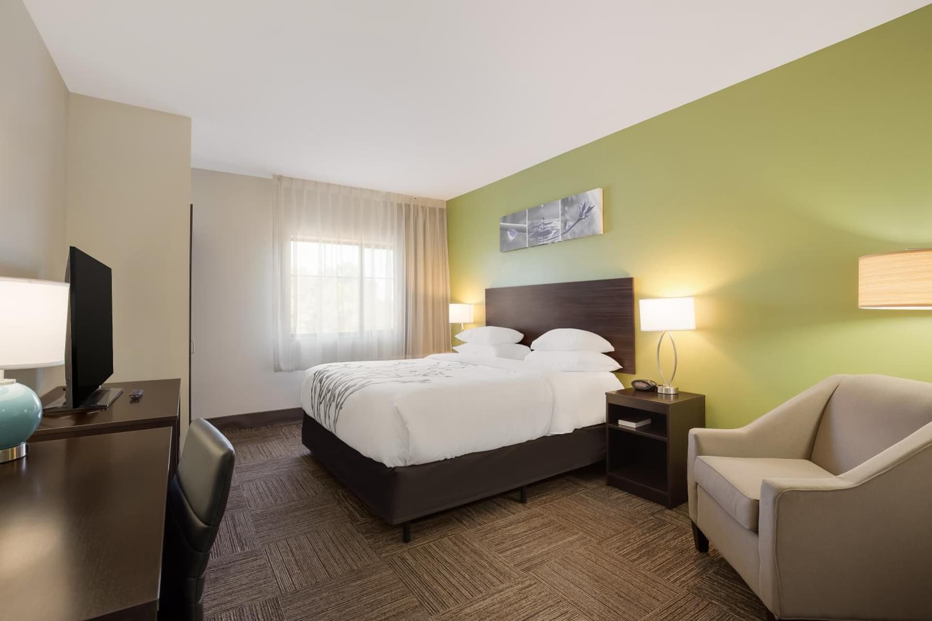 Sleep Inn & Suites North Mobile Saraland gallery photo in Saraland, AL — image 31