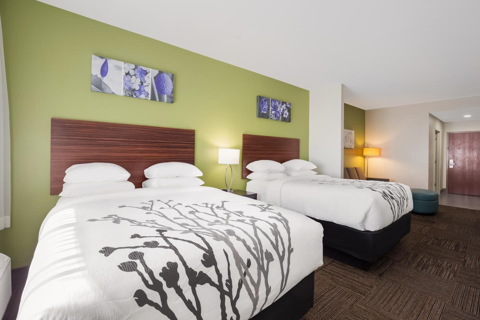 Sleep Inn & Suites North Mobile Saraland gallery photo in Saraland, AL — image 66