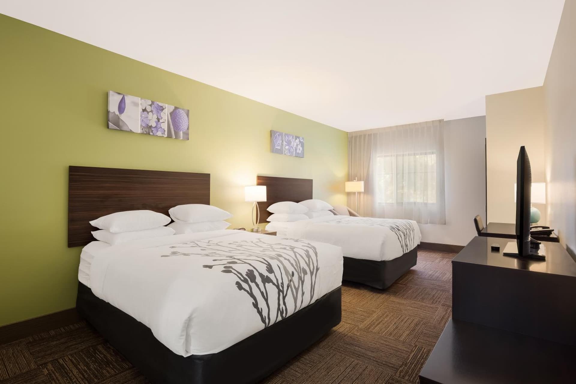 Sleep Inn & Suites North Mobile Saraland gallery photo in Saraland, AL — image 83