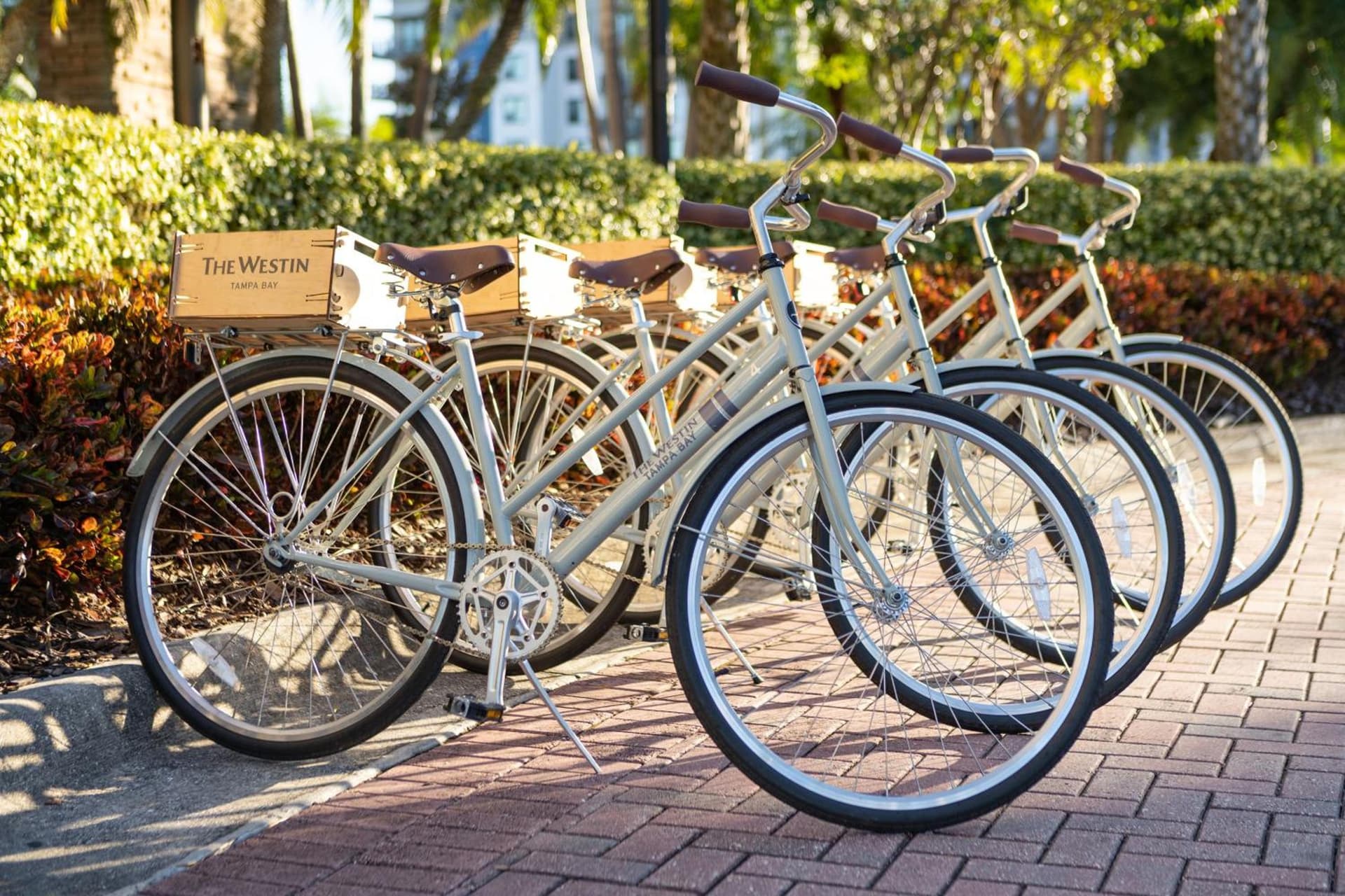 The Westin Tampa Bay gallery photo in Tampa, FL — image 38