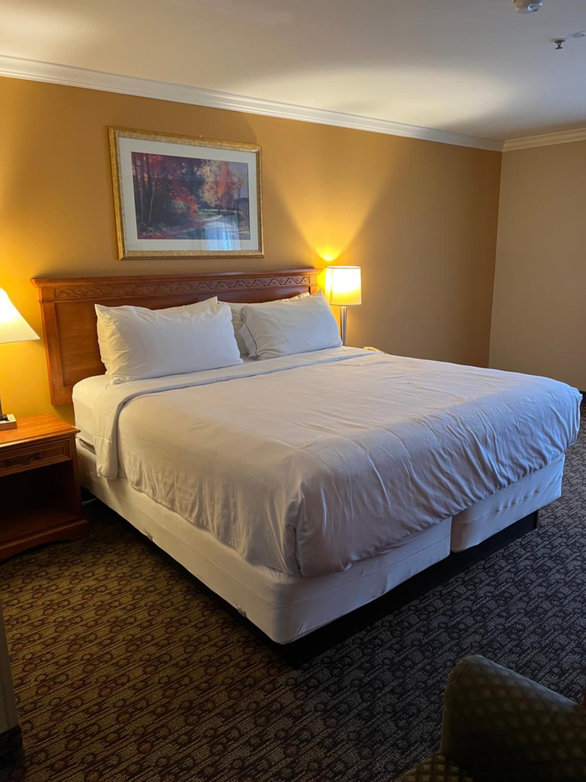 Hotel Xola gallery photo in Moreno Valley, CA — image 4