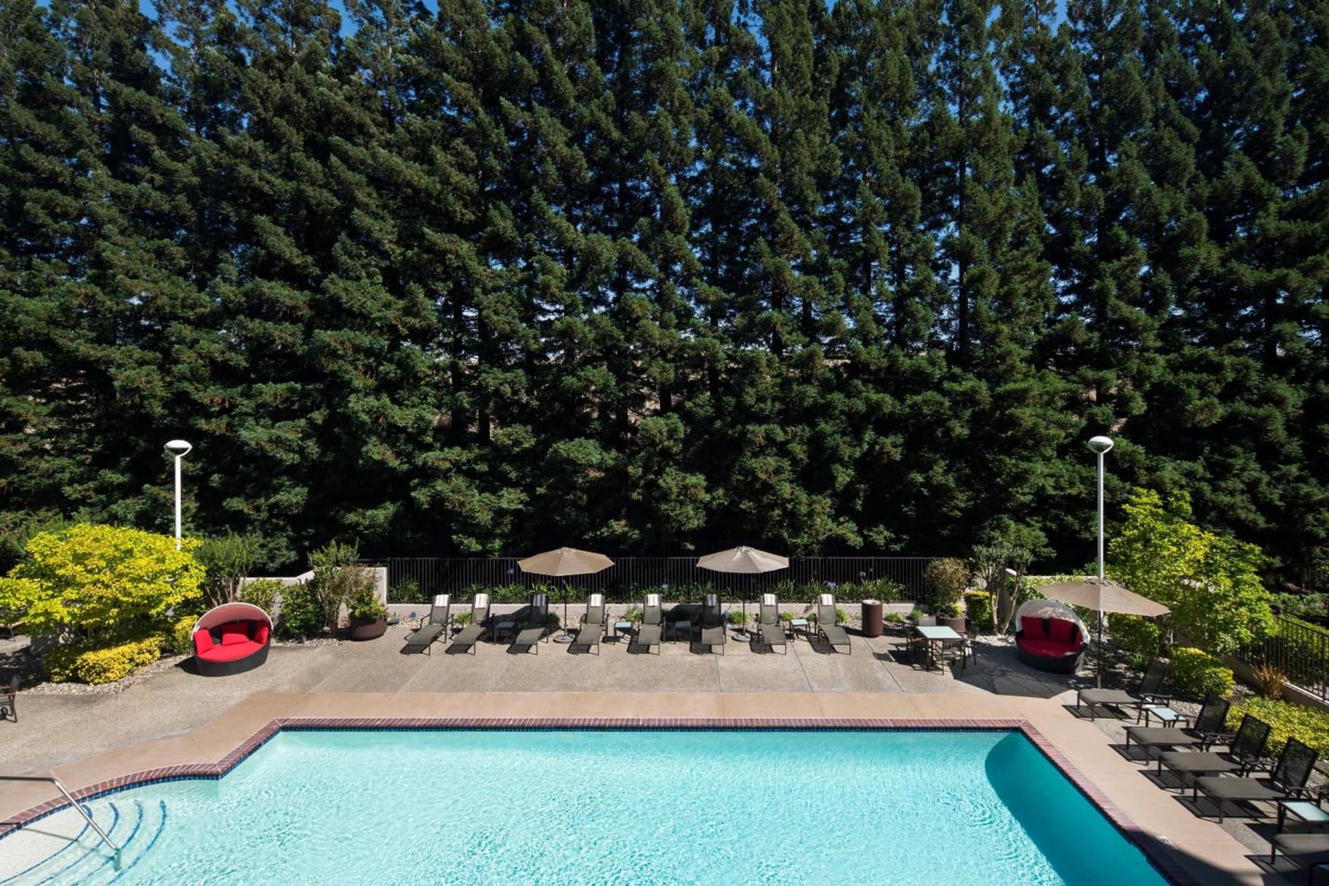 San Ramon Marriott gallery photo in San Ramon, CA — image 55
