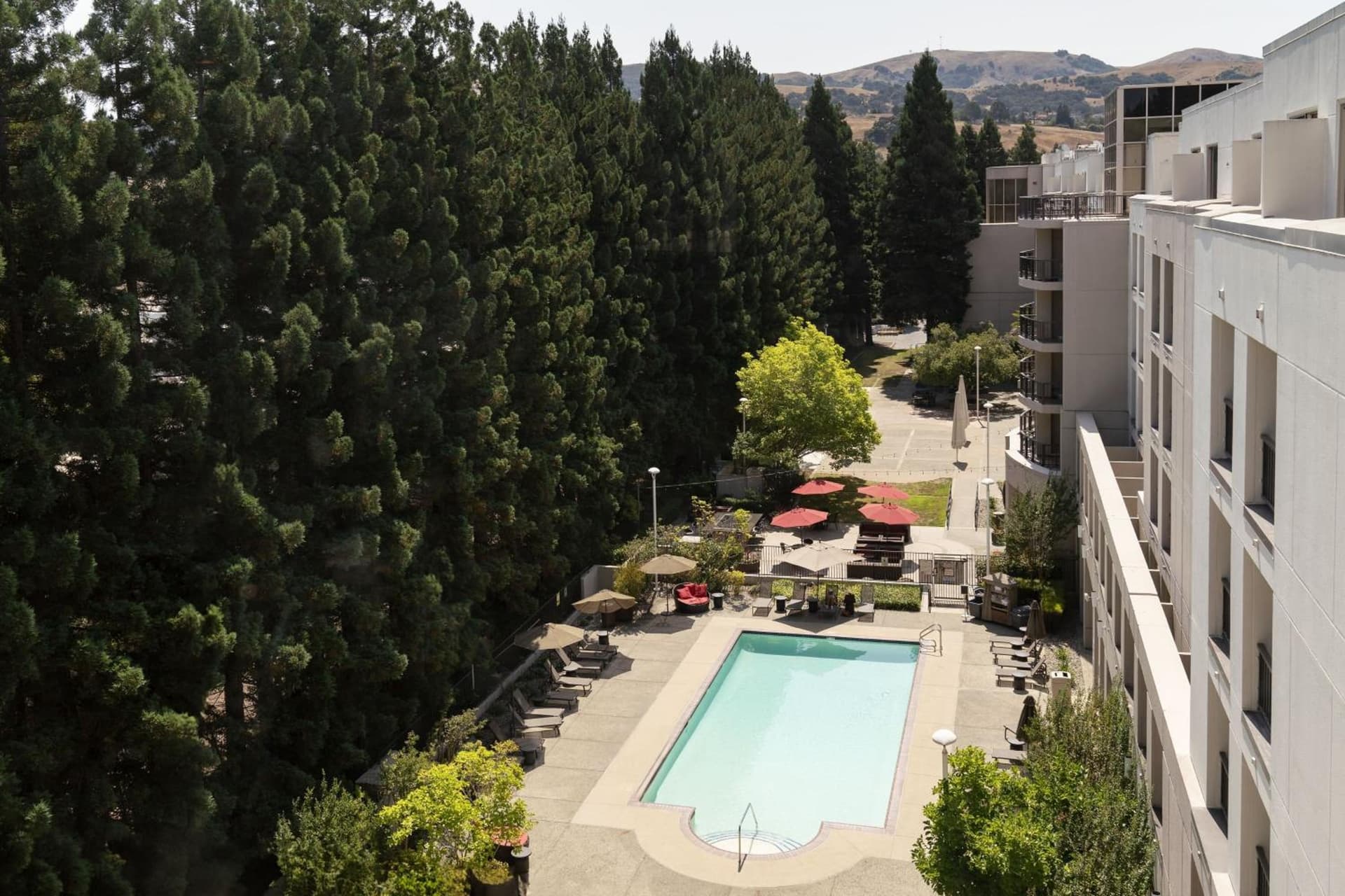 San Ramon Marriott gallery photo in San Ramon, CA — image 49