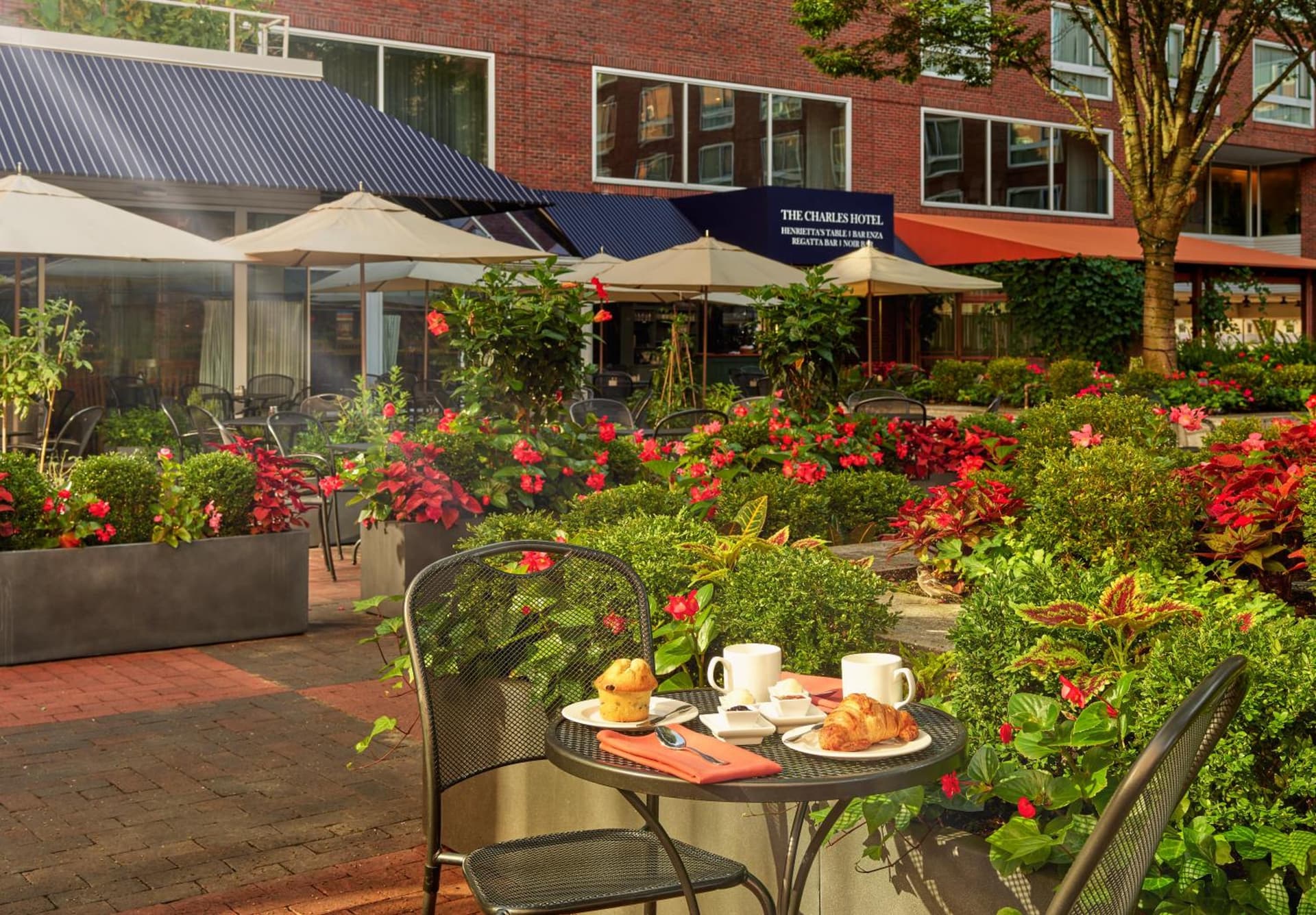 The Charles Hotel in Harvard Square gallery photo in Cambridge, MA — image 26