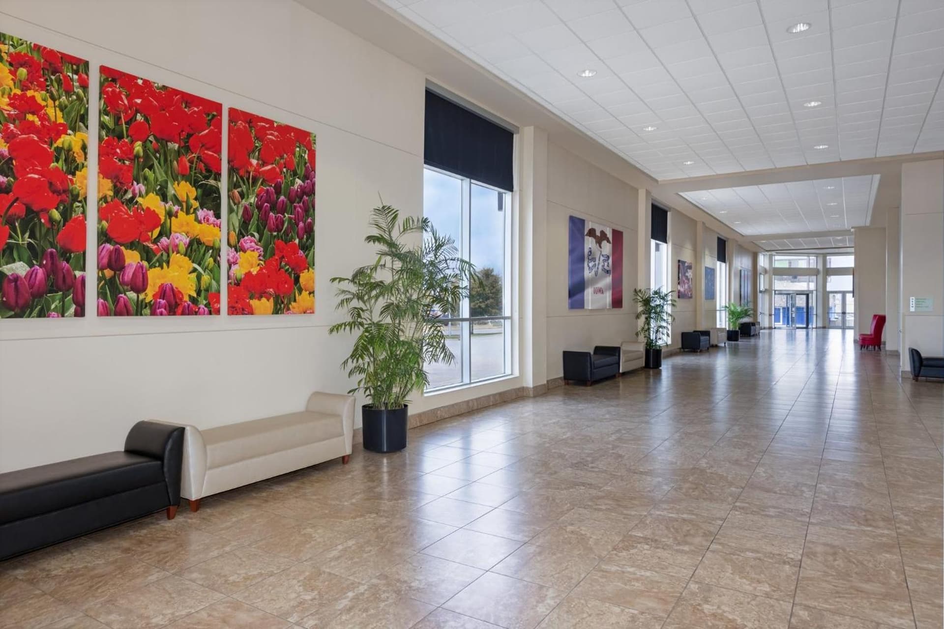 Holiday Inn Des Moines-Airport Conf Center by IHG gallery photo in Des Moines, IA — image 8