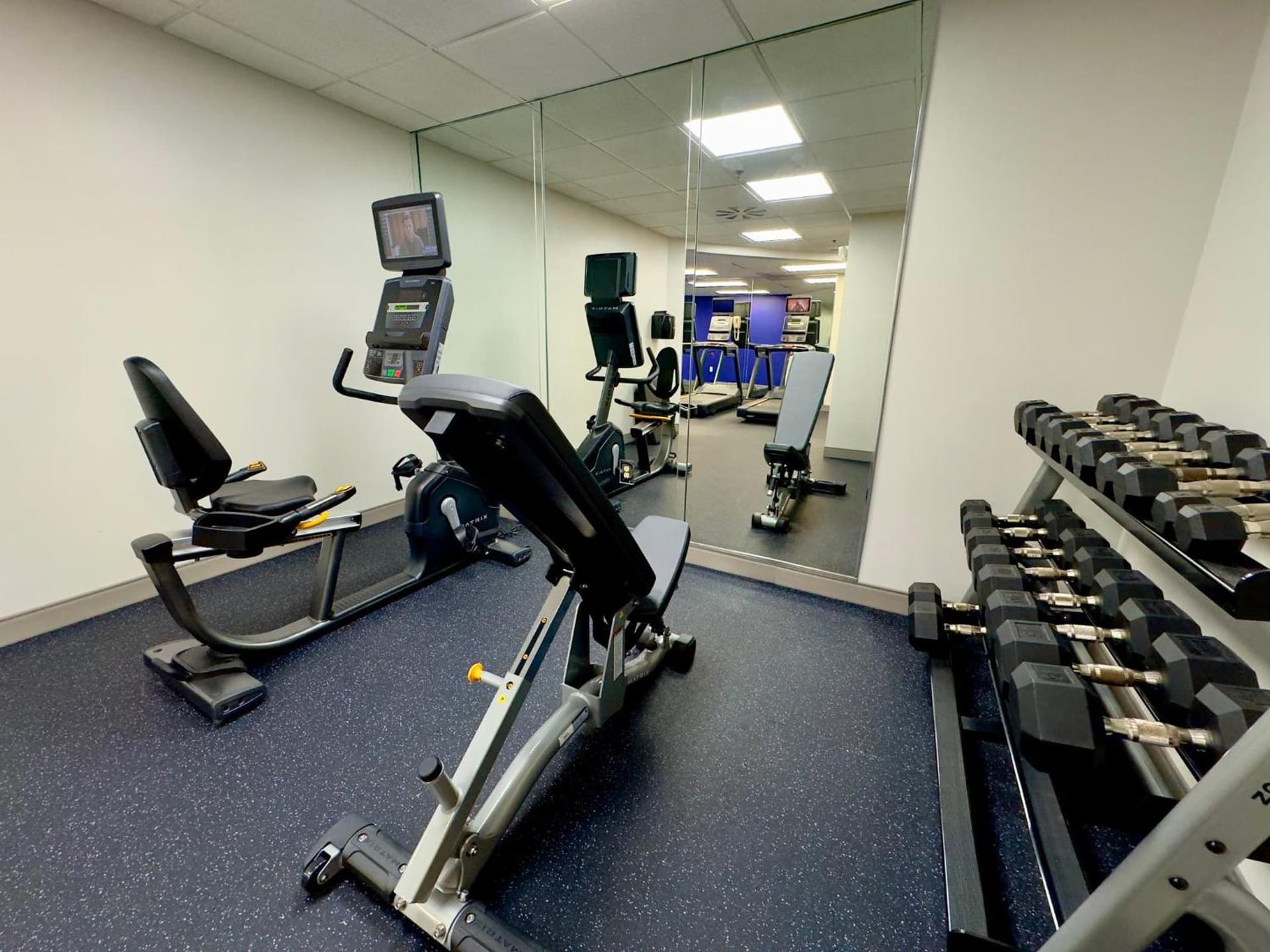 Holiday Inn Express Hotel & Suites Tampa-Oldsmar by IHG gallery photo in Oldsmar, FL — image 72