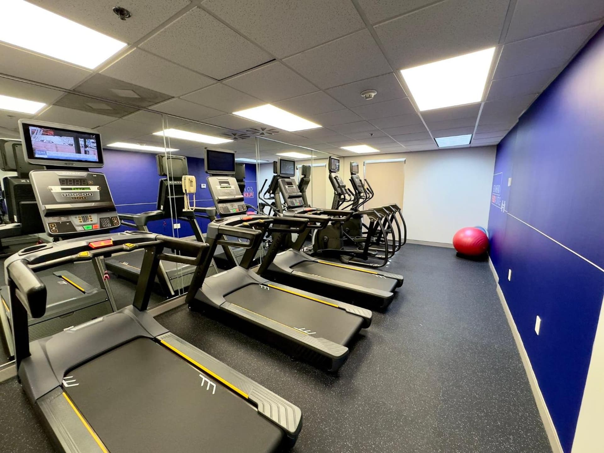 Holiday Inn Express Hotel & Suites Tampa-Oldsmar by IHG gallery photo in Oldsmar, FL — image 81