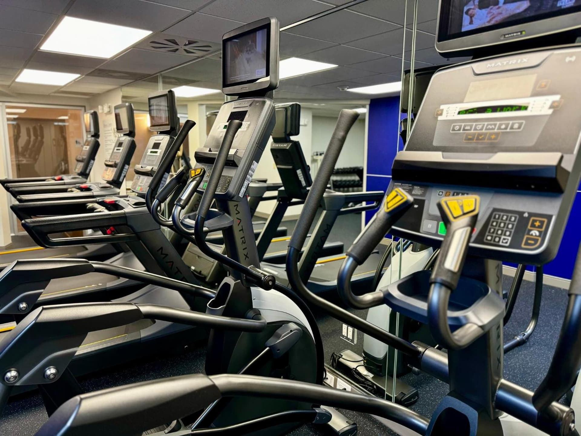 Holiday Inn Express Hotel & Suites Tampa-Oldsmar by IHG gallery photo in Oldsmar, FL — image 68