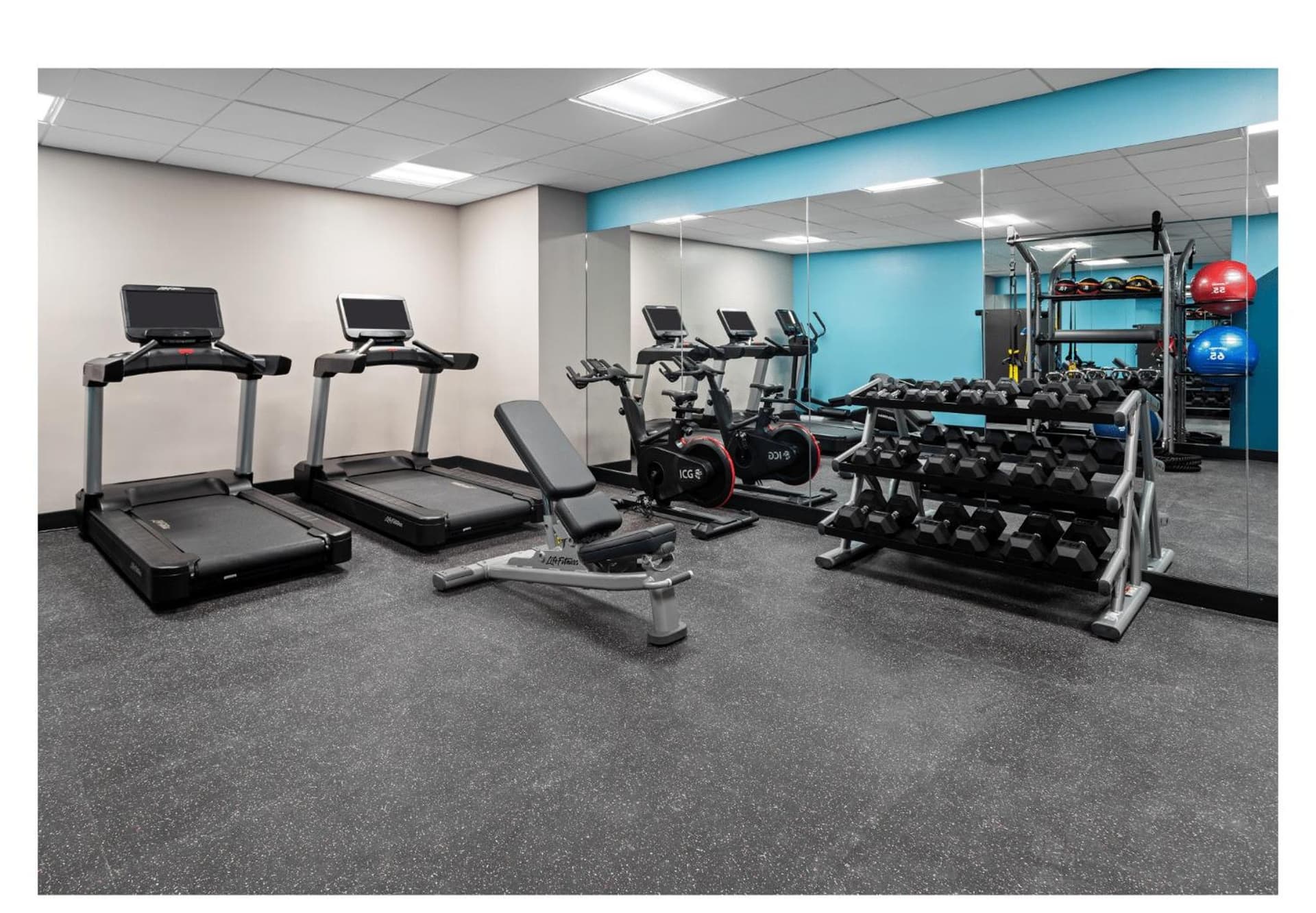 avid hotels - Brooklyn Dyker Heights by IHG gallery photo in Brooklyn, NY — image 31