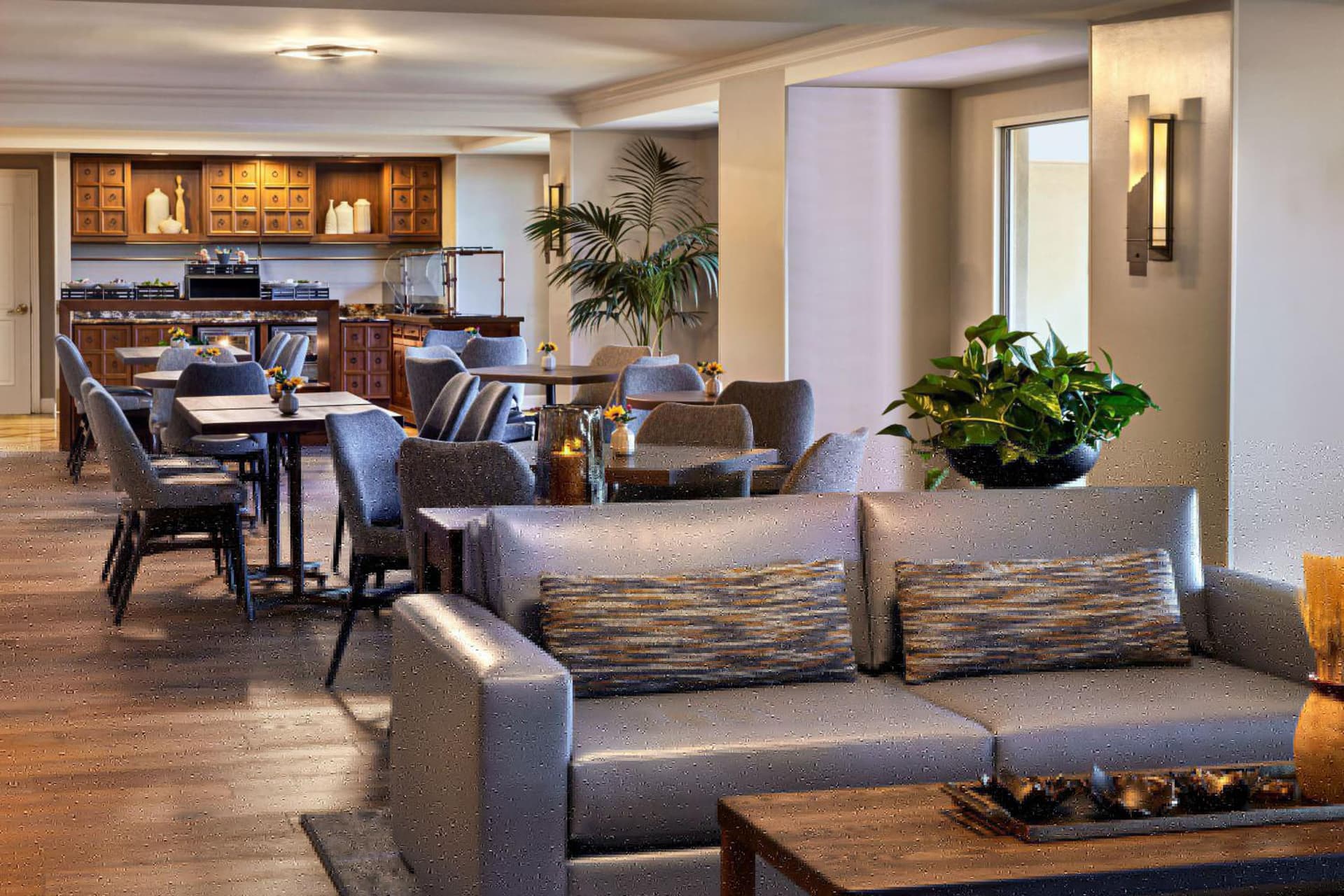 JW Marriott Phoenix Desert Ridge Resort & Spa gallery photo in Phoenix, AZ — image 62