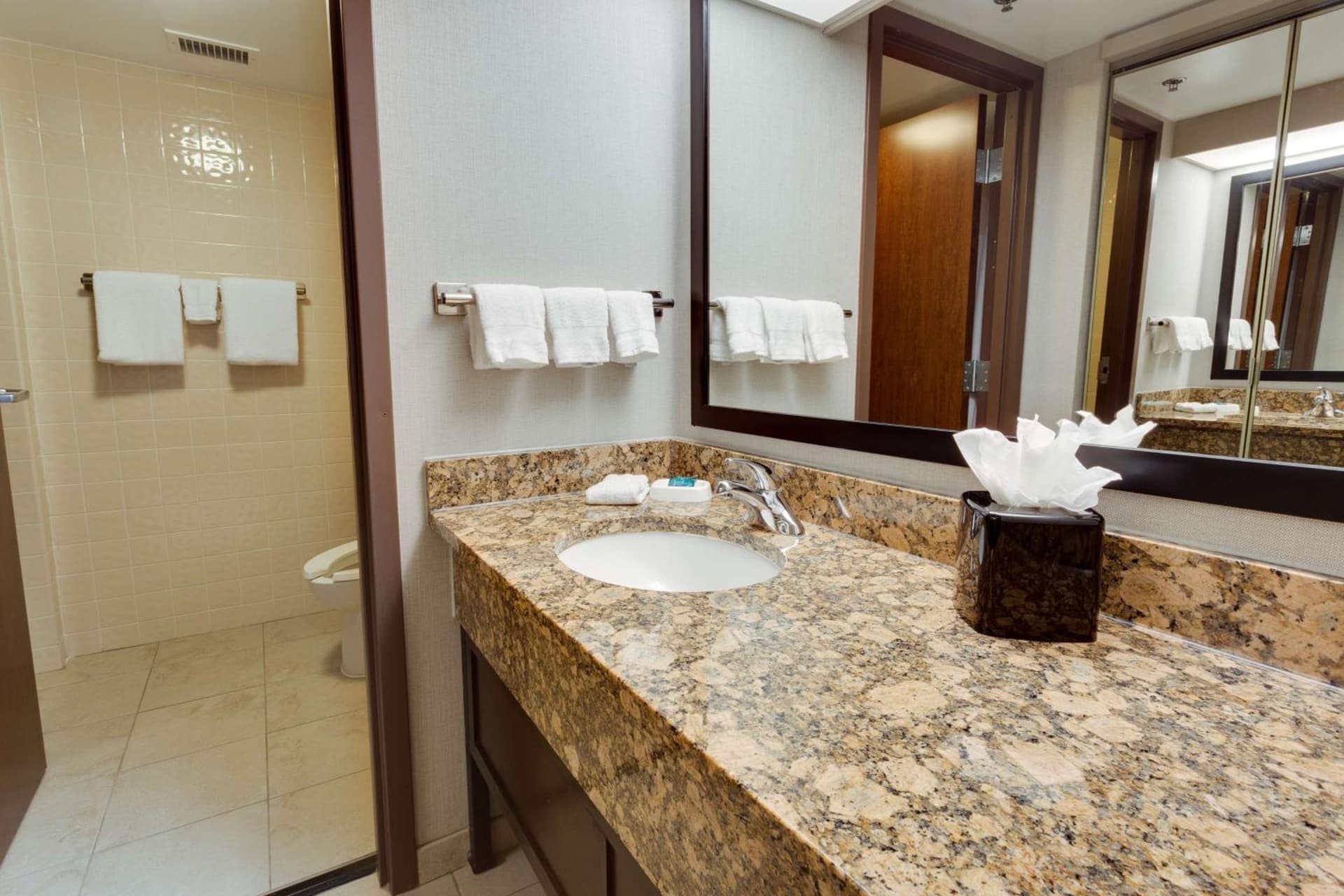 Drury Inn & Suites San Antonio Northeast gallery photo in San Antonio, TX — image 8