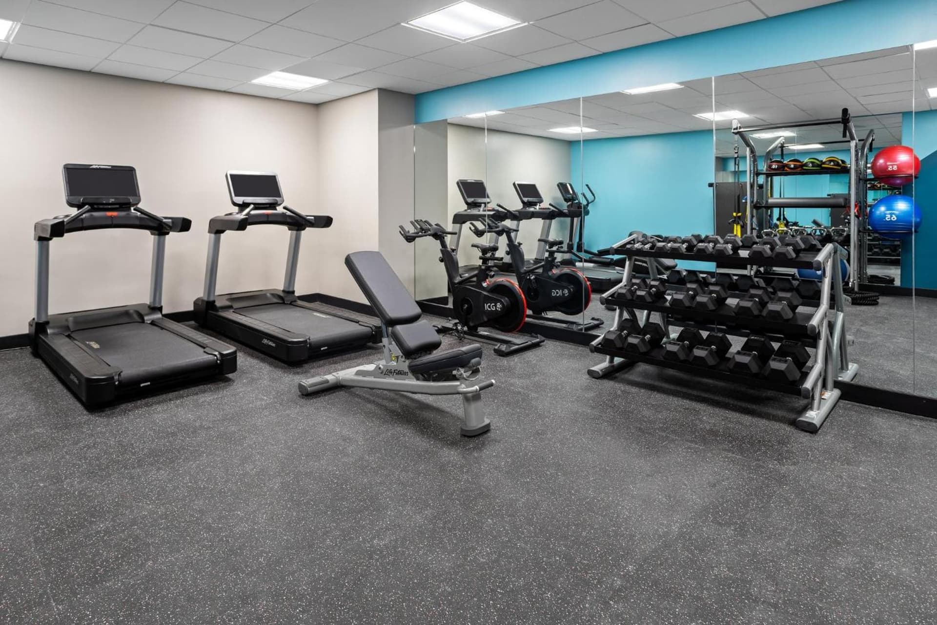 avid hotels - Brooklyn Dyker Heights by IHG gallery photo in Brooklyn, NY — image 68