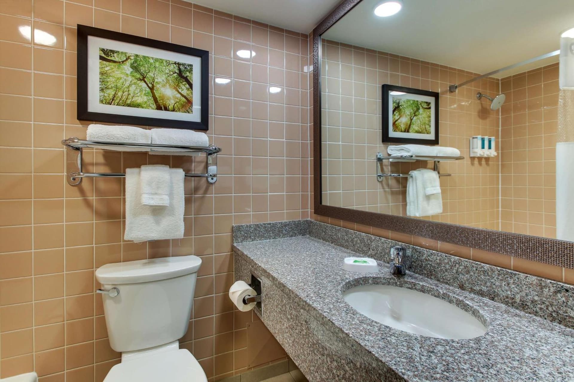 Pear Tree Inn St. Louis - Arnold interior in Arnold, MO — gallery photo 2