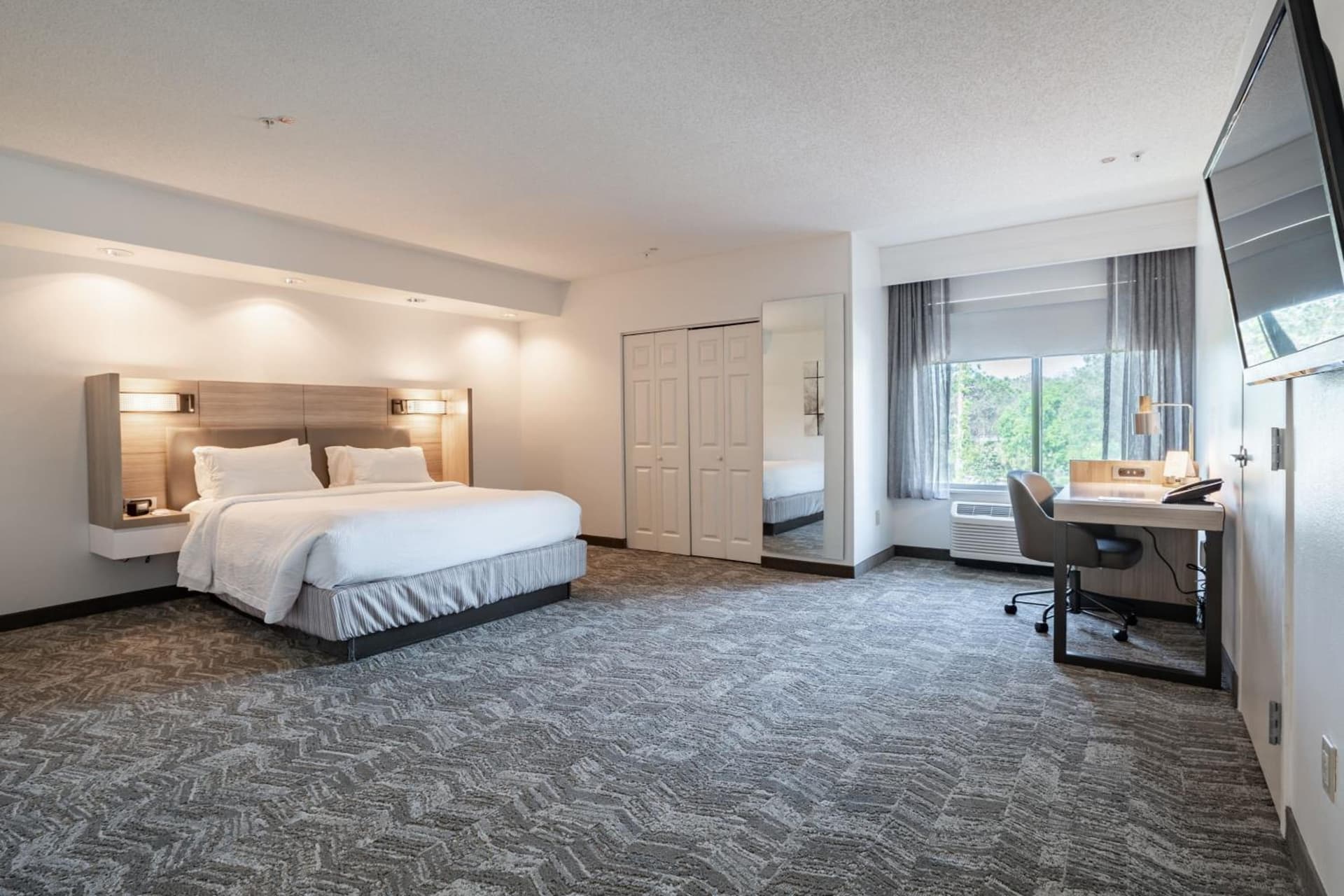 SpringHill Suites Gainesville gallery photo in Gainesville, FL — image 66