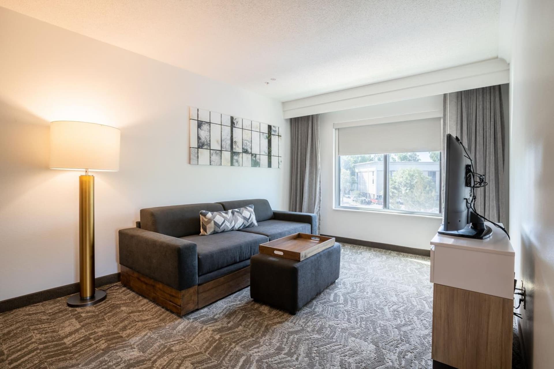 SpringHill Suites Gainesville gallery photo in Gainesville, FL — image 75