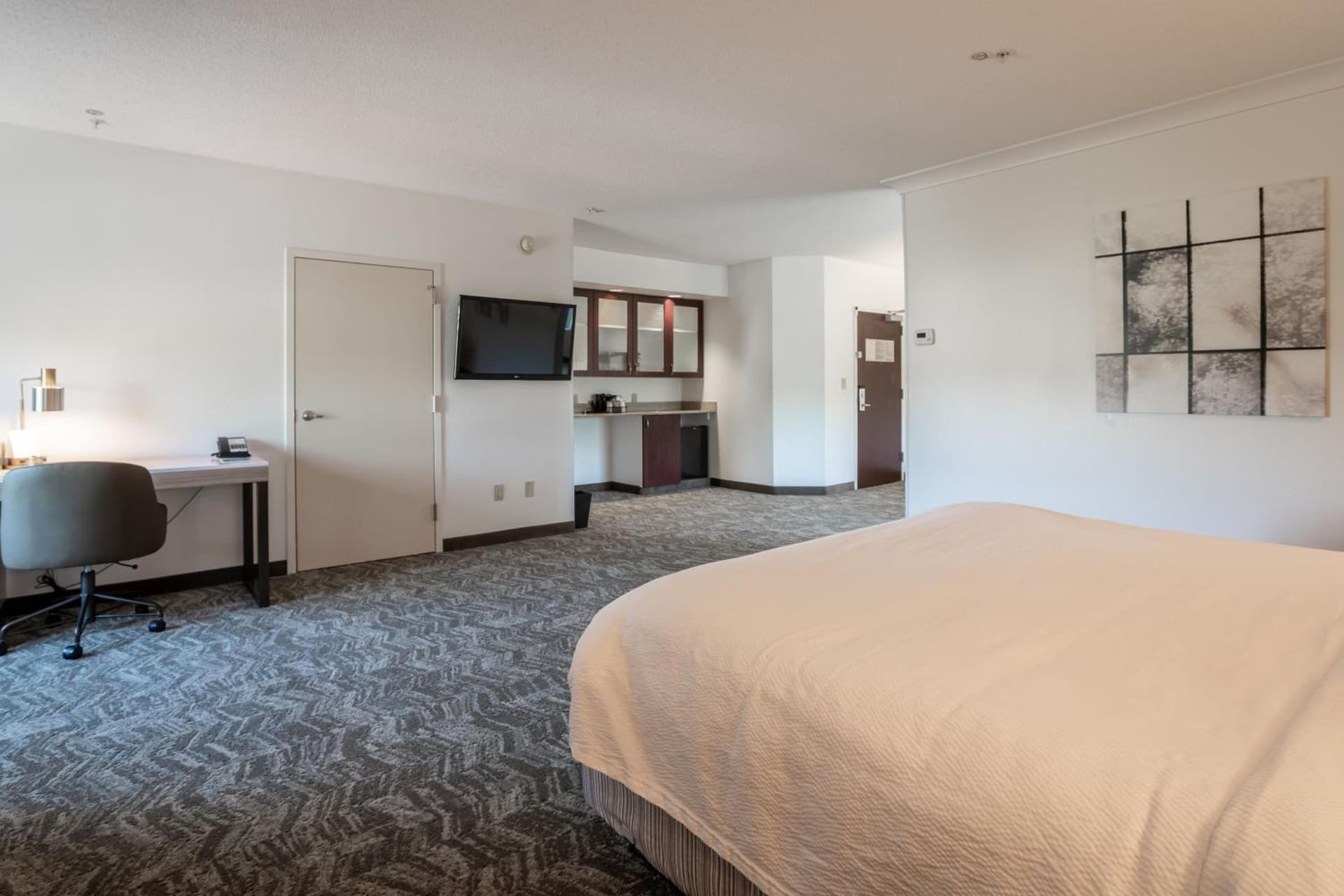 SpringHill Suites Gainesville gallery photo in Gainesville, FL — image 80