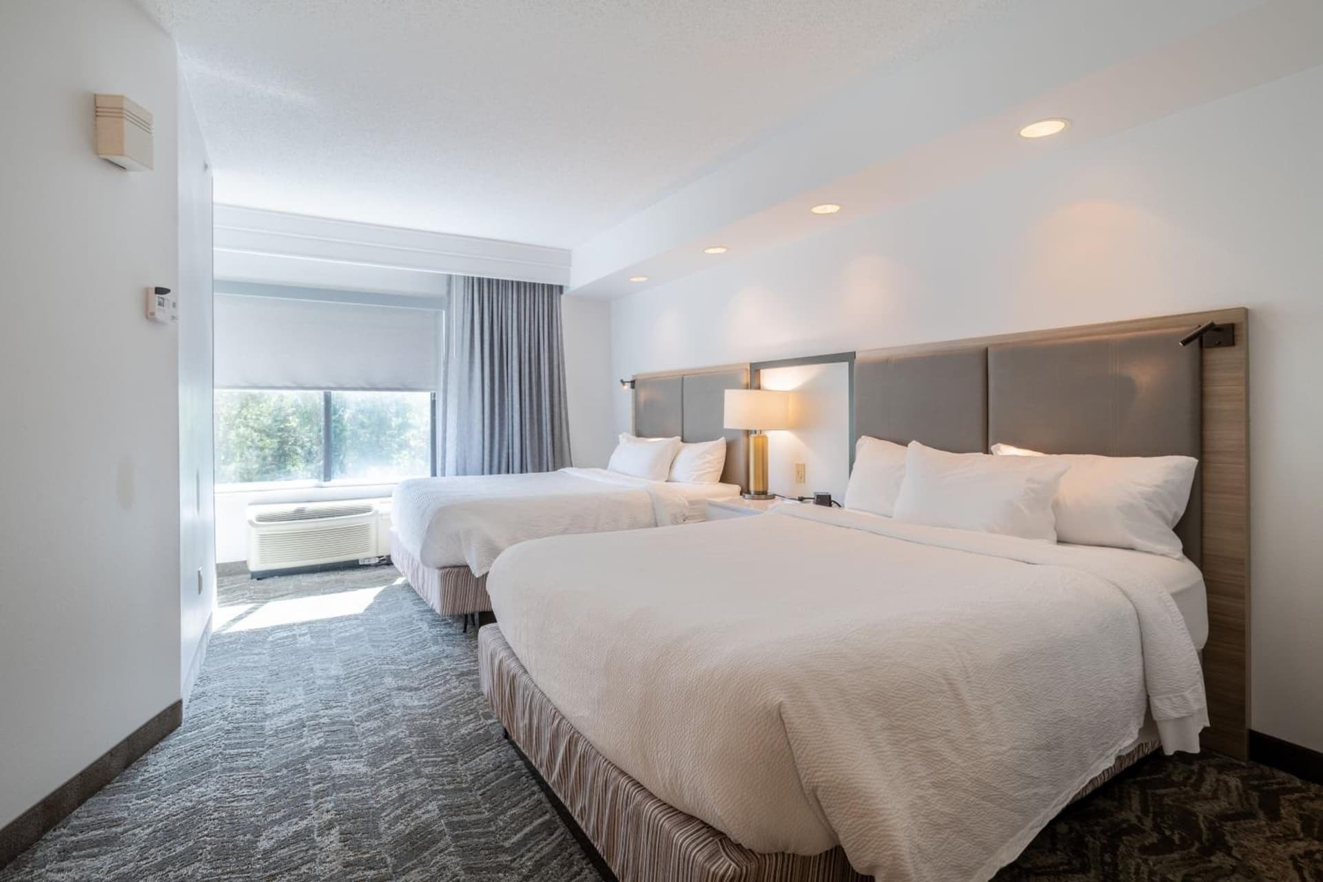 SpringHill Suites Gainesville gallery photo in Gainesville, FL — image 56