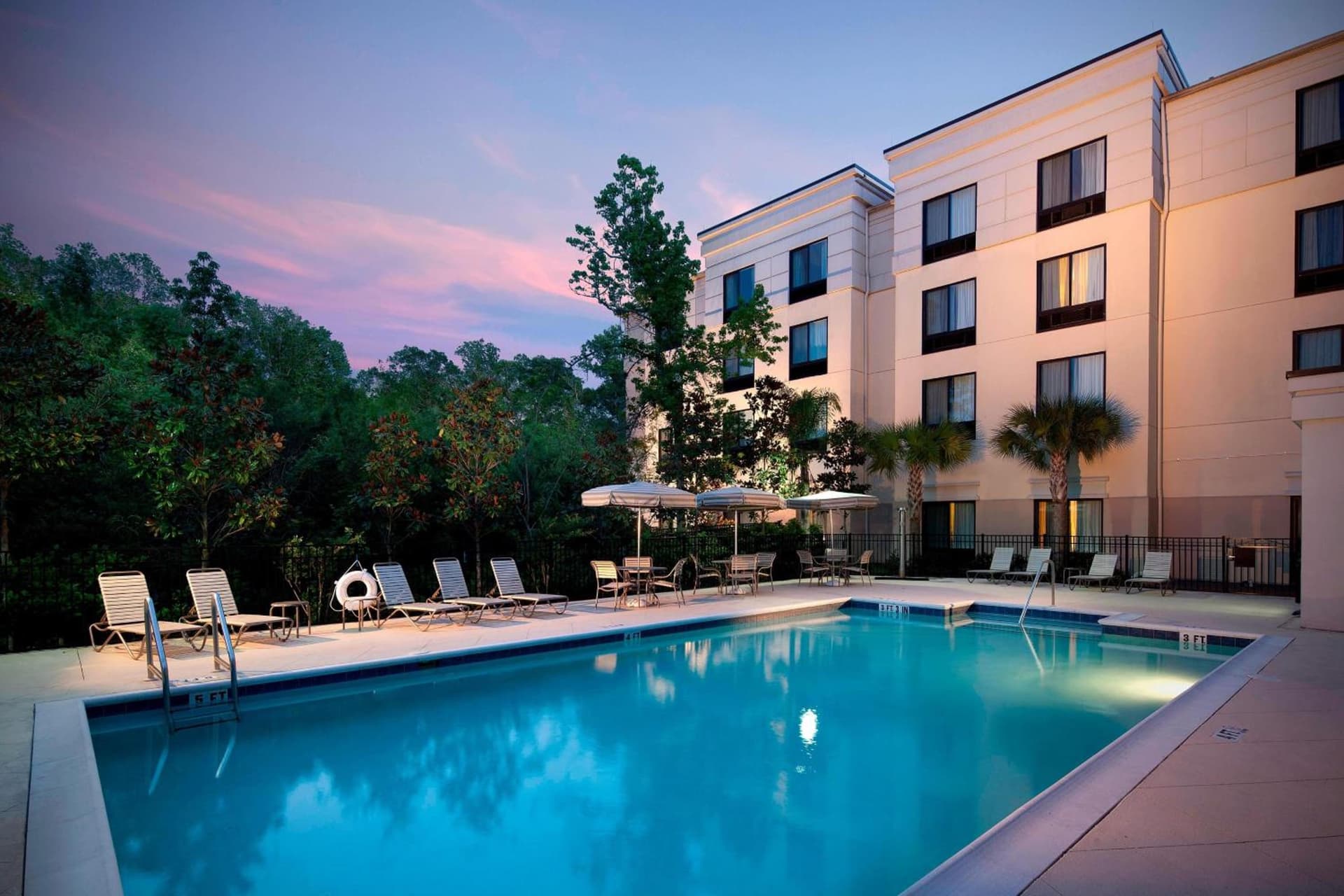 SpringHill Suites Gainesville gallery photo in Gainesville, FL — image 61