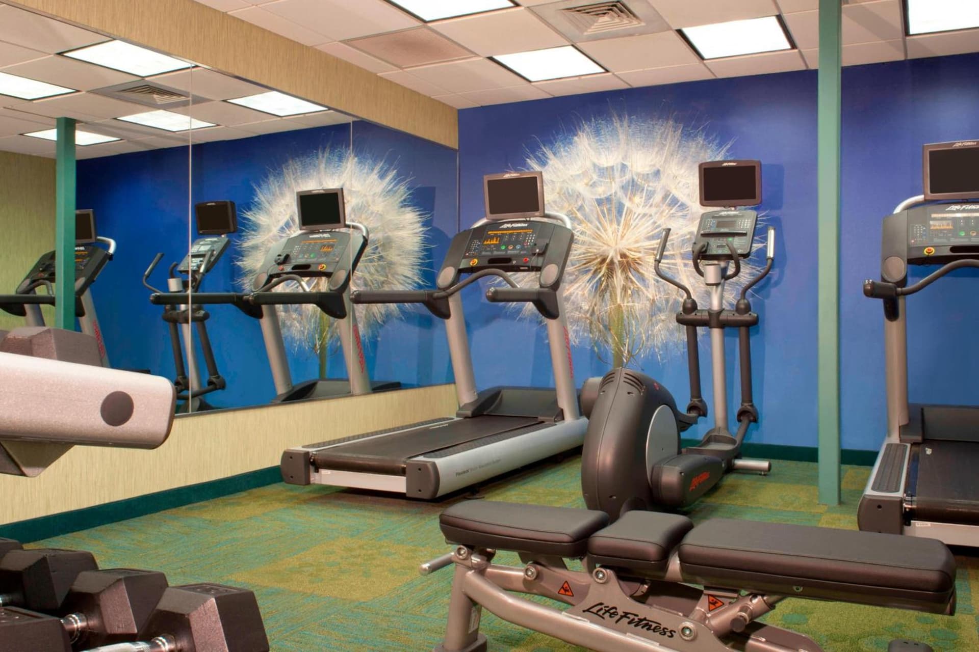 SpringHill Suites Gainesville gallery photo in Gainesville, FL — image 87