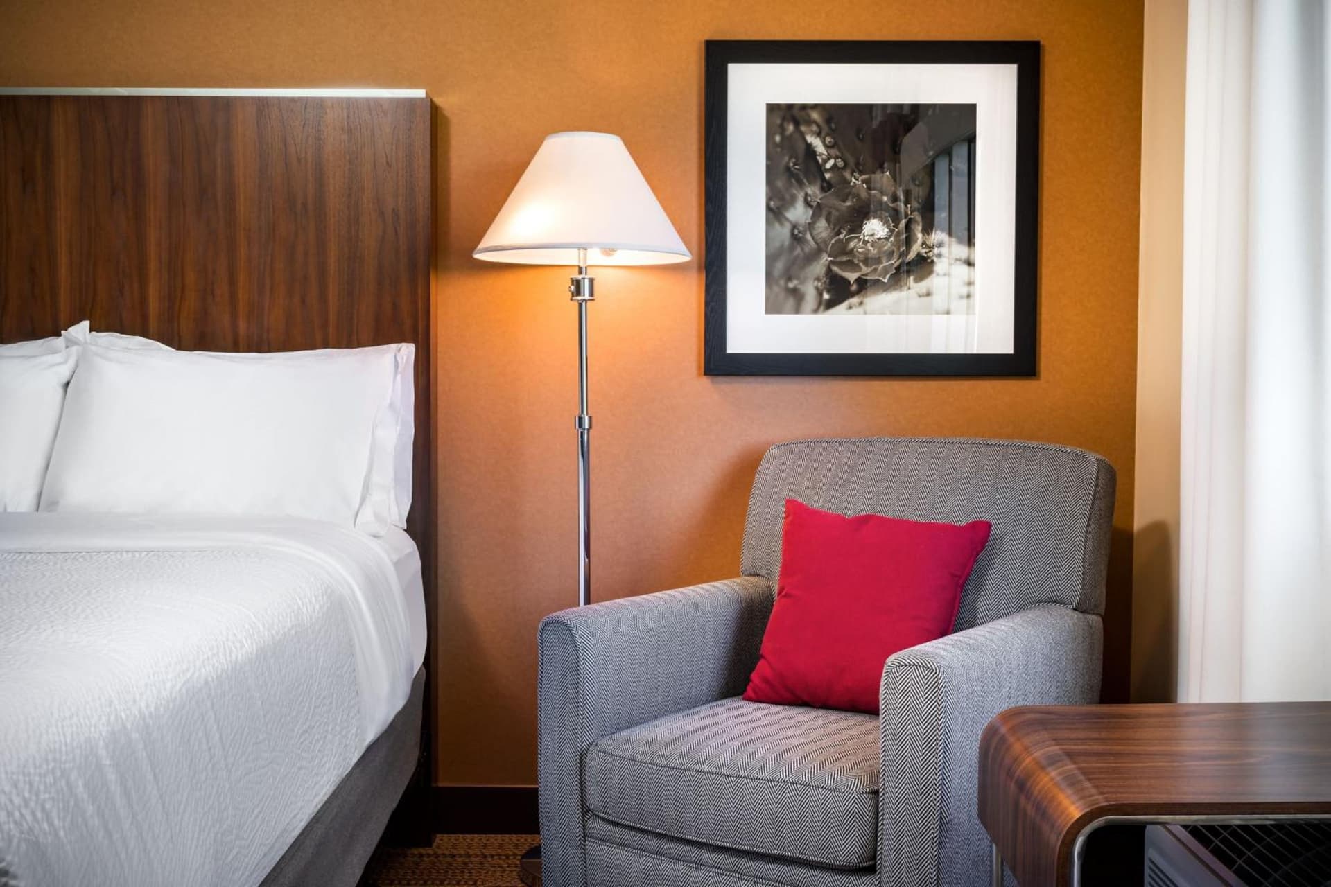 Four Points by Sheraton at Phoenix Mesa Gateway Airport gallery photo in Mesa, AZ — image 18