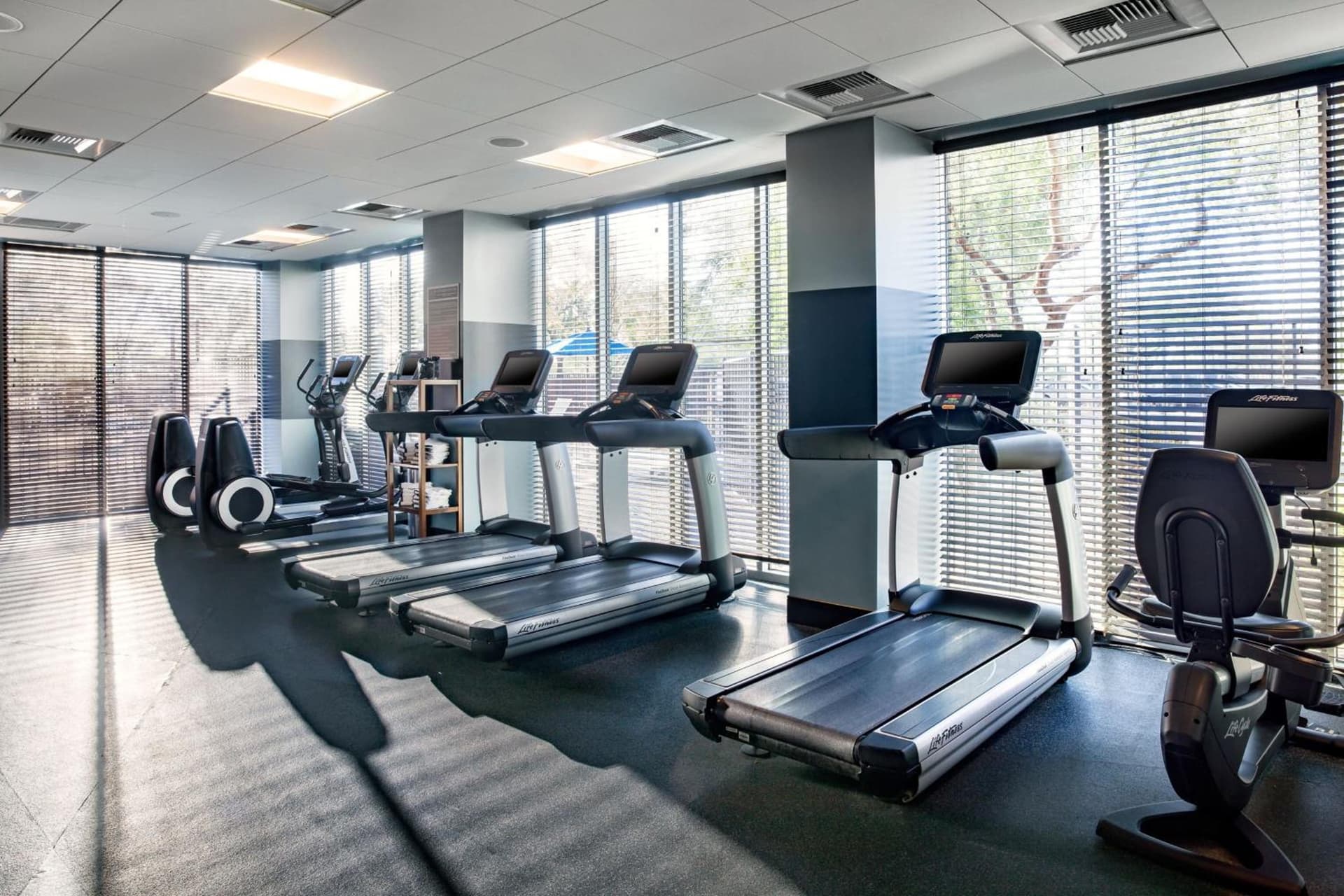 Four Points by Sheraton at Phoenix Mesa Gateway Airport gallery photo in Mesa, AZ — image 15