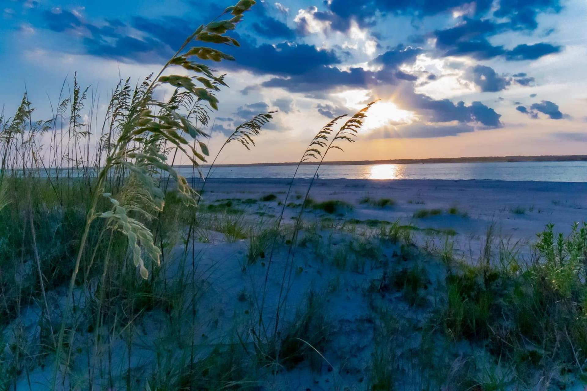 Sea Vista Motel gallery photo in Topsail Beach, NC — image 220